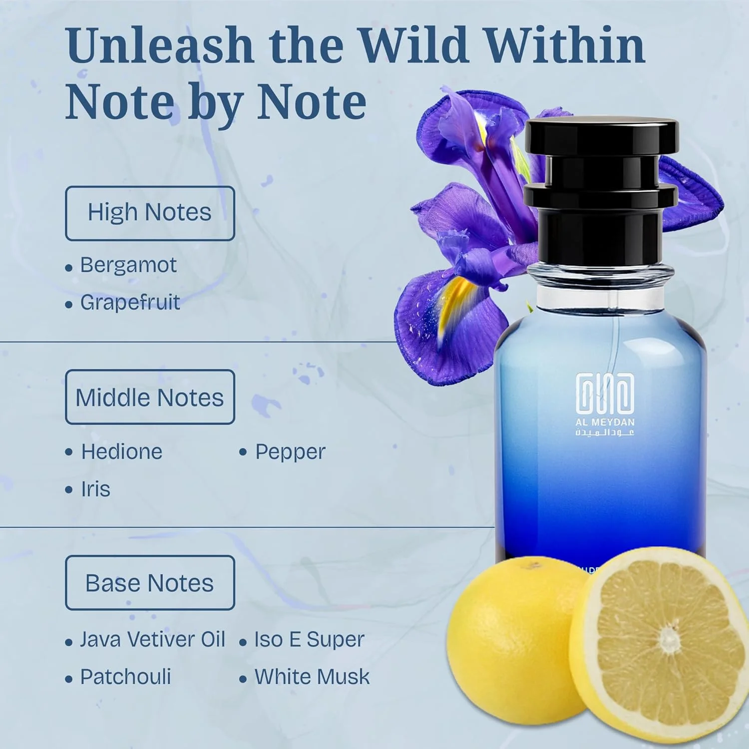 عطر روغنی مردانه – رایحه ای از او-راگی – عطر مرکباتی چوبی بدون الکل با وتیور، ترنج و مشک – ماندگاری طولانی، ظریف و خاکی (50 میلی لیتر)