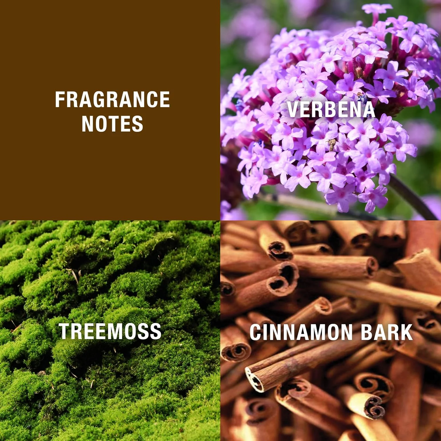 ادکلن مردانه هالستون Z-14، اسپری کولونیا 125 میلی لیتر