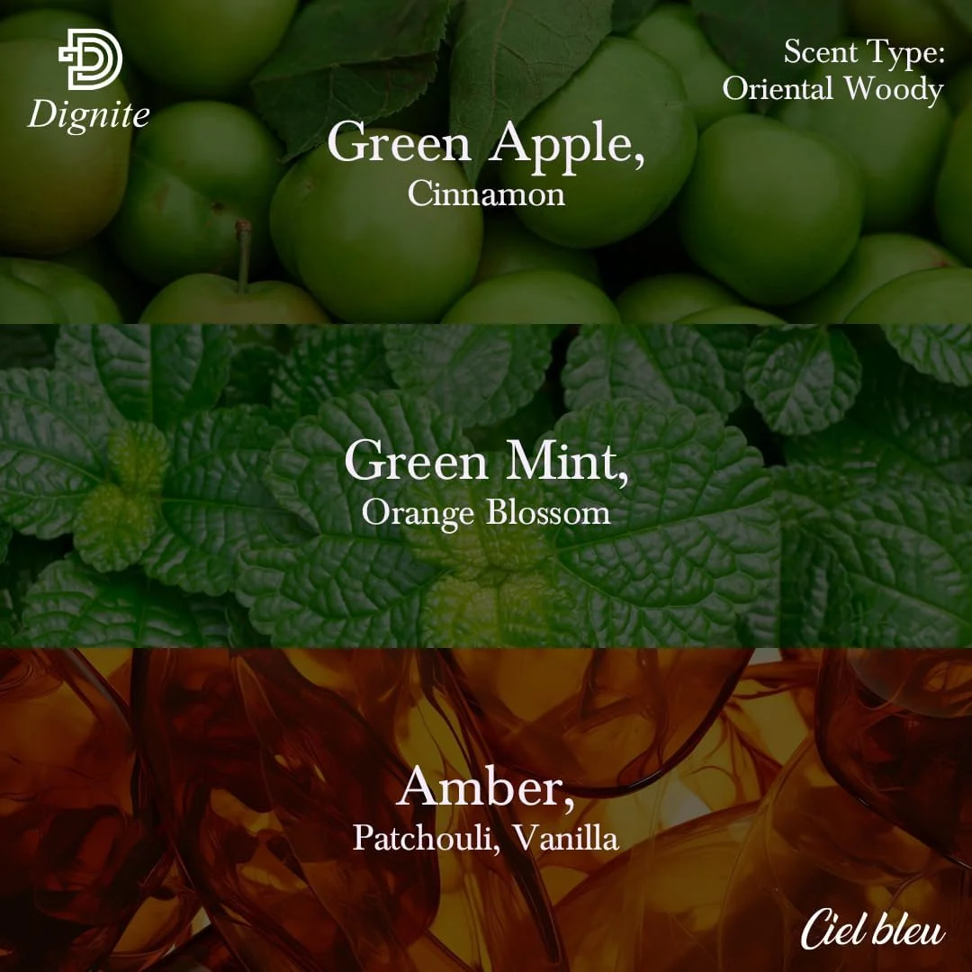 ادکلن مردانه سیل بلو ۱۰۰ میل – ادو پرفیوم – ترکیبی پرانرژی از سیب، نعناع و وانیل – رایحه ماندگار ادکلن مردانه سیل بلو ۱۰۰ میل – ادو پرفیوم – ترکیبی پرانرژی از سیب، نعناع و وانیل – رایحه ماندگار