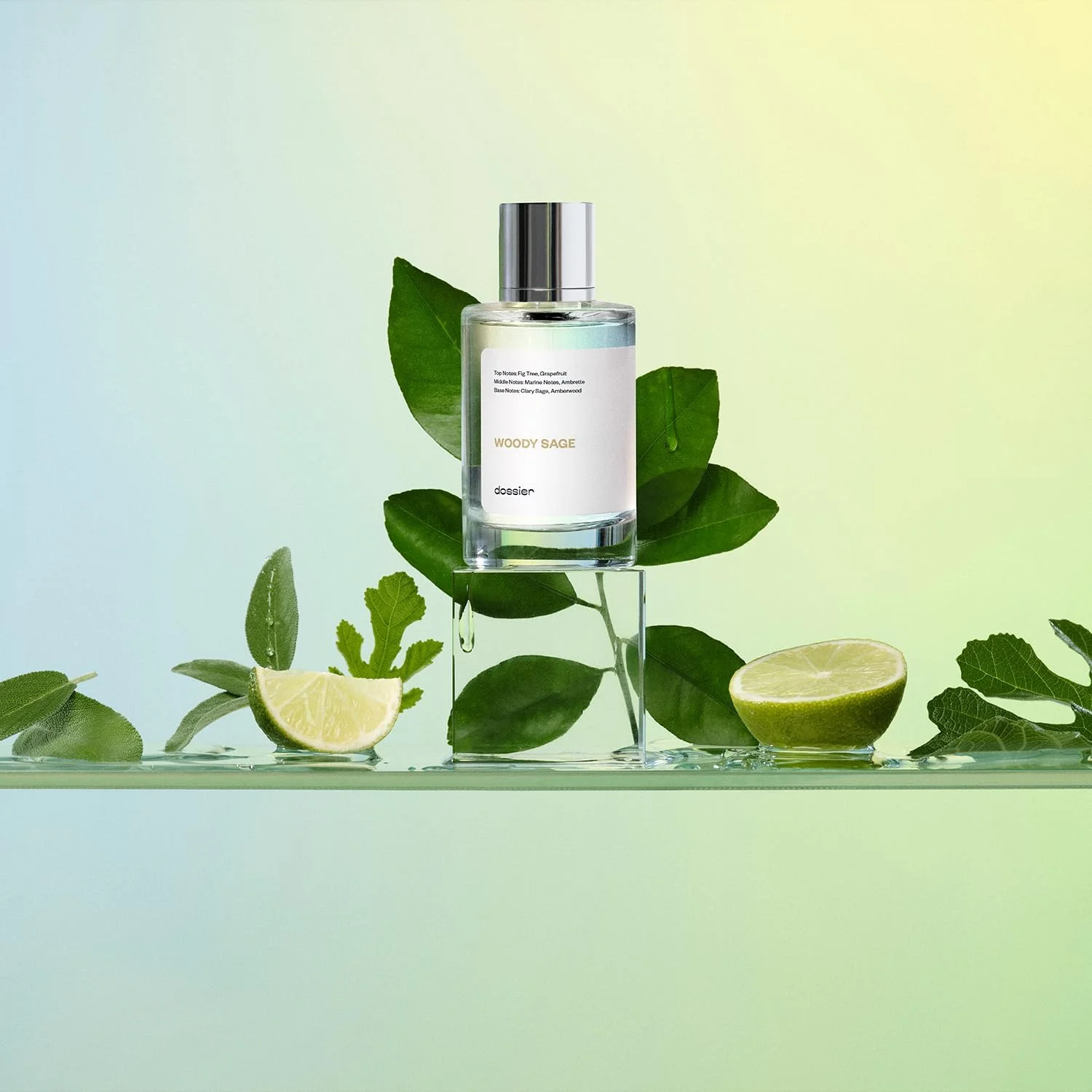 دوسیه - مریم گلی چوبی - ادو پرفیوم - الهام گرفته از Wood Sage & Sea Salt از J.Malone - عطر لوکس - خالص تزریق شده - بدون پارابن - وگان - برای زنان مردان униsex - رایحه 3.4 Fl oz (اسپری 100ml)