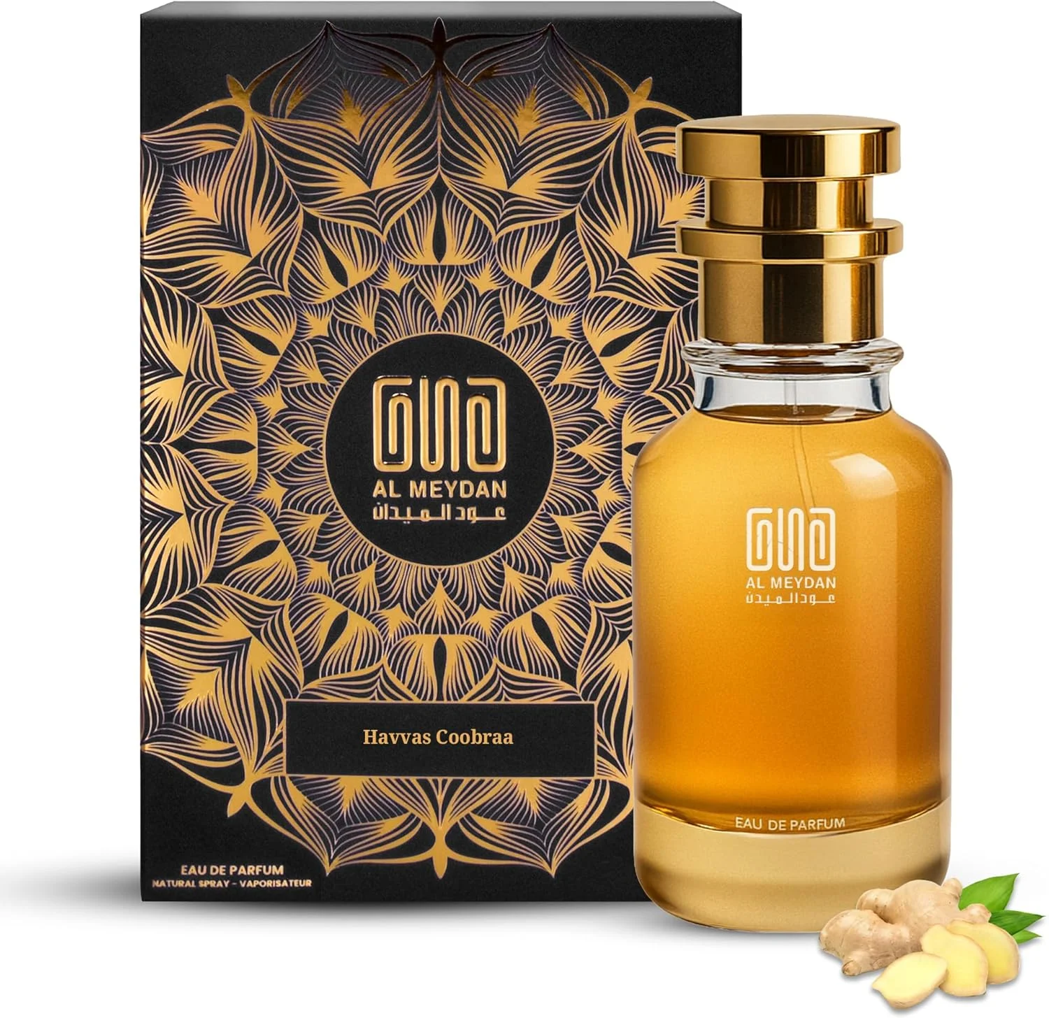 عطر روغنی مردانه – الهام گرفته از هاواس کوبرا – عطر روغنی تازه و تند بدون الکل با زنجبیل، چای سبز و عنبر – ماندگاری طولانی 8-10 ساعت (30 میلی لیتر)