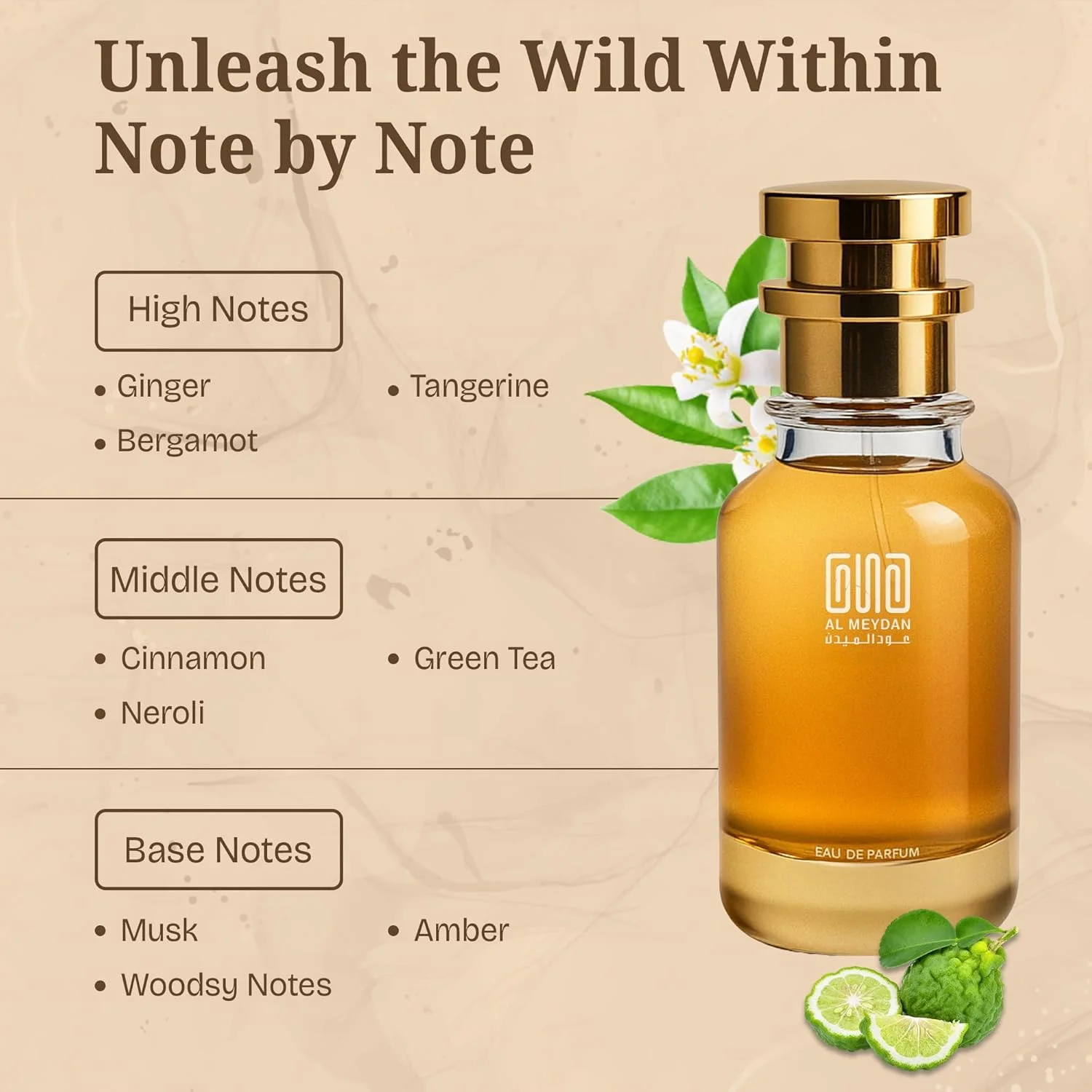 عطر روغنی مردانه – الهام گرفته از هاواس کوبرا – عطر روغنی تازه و تند بدون الکل با زنجبیل، چای سبز و عنبر – ماندگاری طولانی 8-10 ساعت (30 میلی لیتر)