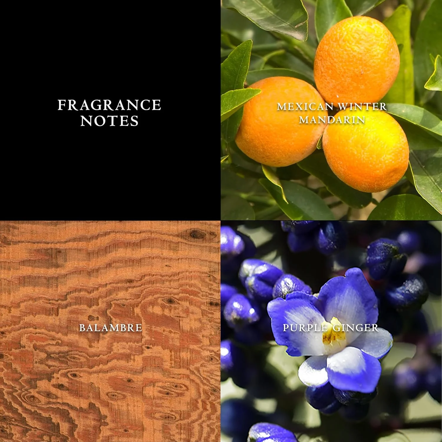 ادکلن مردانه جان وارواتوس آرتیسان ادو تویلت 75 میلی لیتر