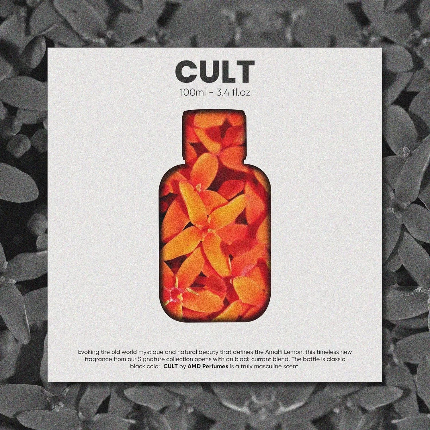 عطر унисекс کالت ای ام دی - عطر ماندگار برای آقایان و بانوان - عطرهای کلاسیک مردانه و زنانه EDP 100ml