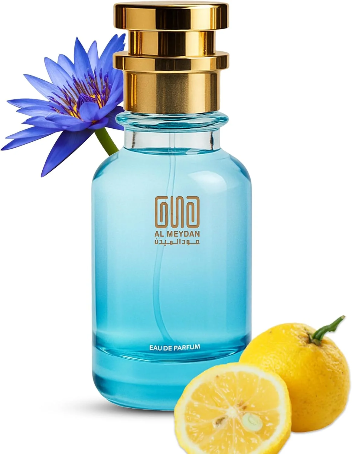 عطر روغنی مردانه – الهام گرفته از عود سیو د کینگ – رایحه گرم چوبی چرمی بدون الکل با نت های عود، جیر و چوب صندل – رایحه مردانه ماندگار (80 میلی لیتر)