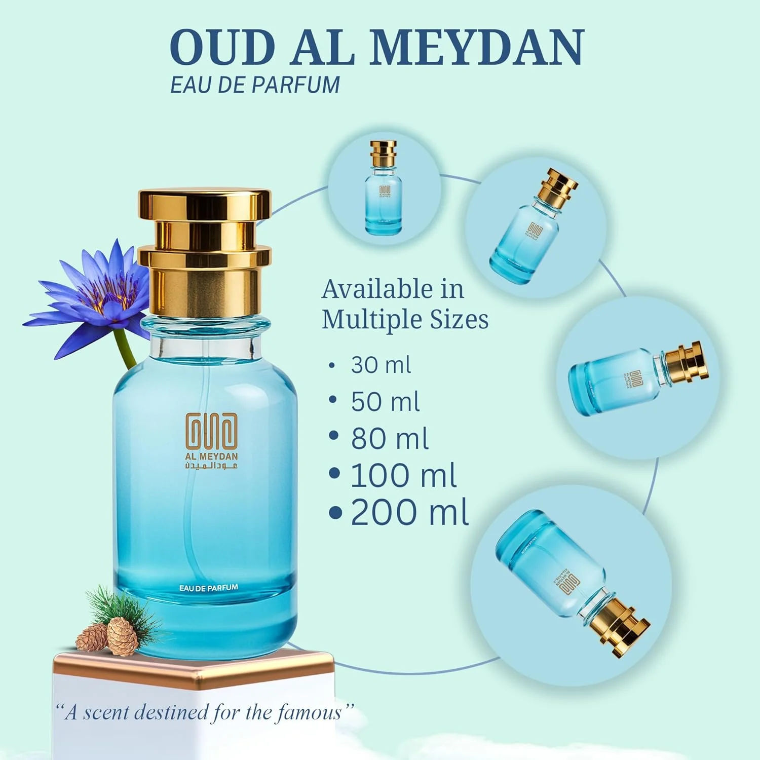 عطر روغنی مردانه – الهام گرفته از عود سیو د کینگ – رایحه گرم چوبی چرمی بدون الکل با نت های عود، جیر و چوب صندل – رایحه مردانه ماندگار (80 میلی لیتر)