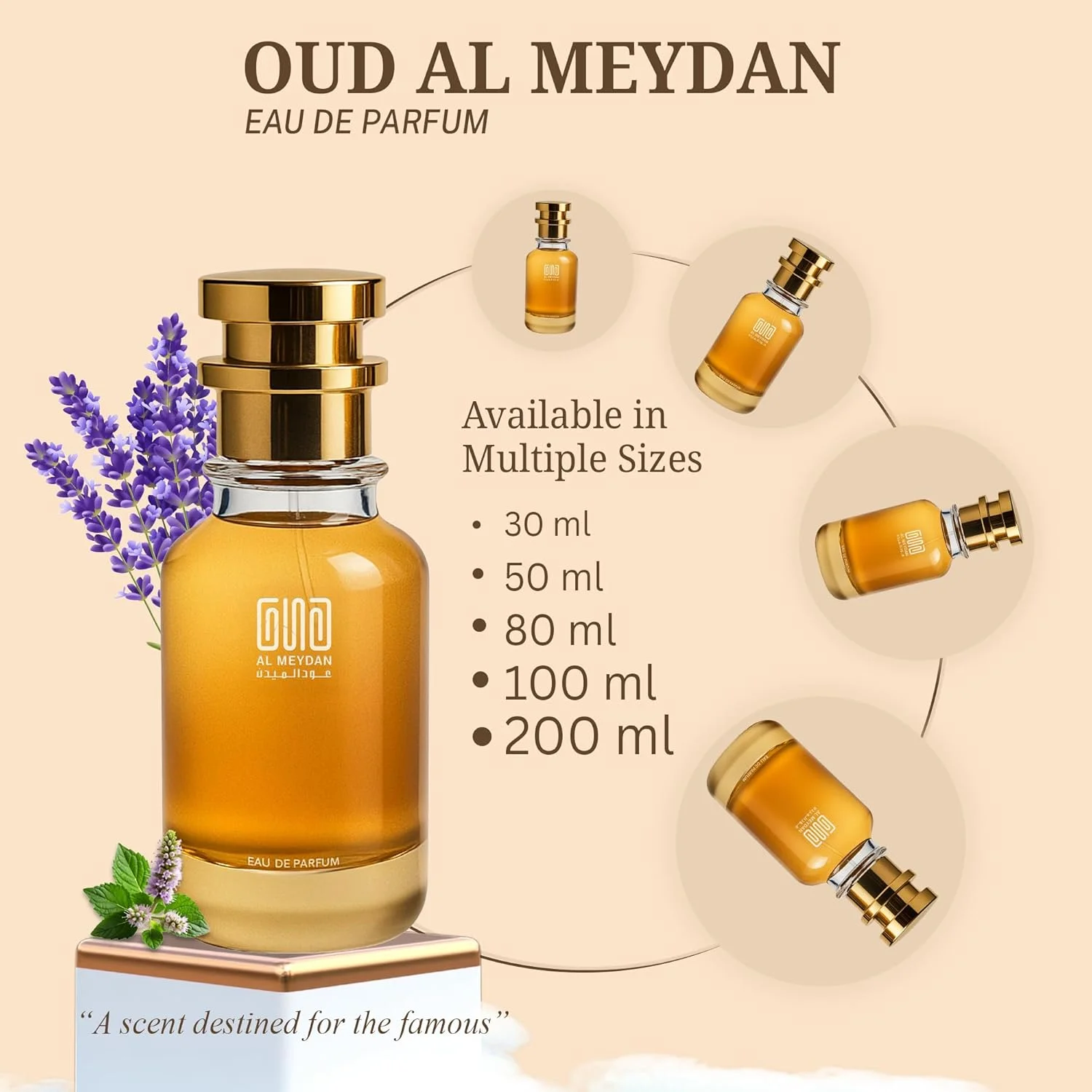 عطر روغنی مردانه – الهام گرفته از ماسکولین پلورال – رایحه چوبی فوژه ماندگار با اسطوخودوس، چرم و وتیور – ماندگاری 8-10 ساعته – رایحه مردانه شیک (30 میلی لیتر)