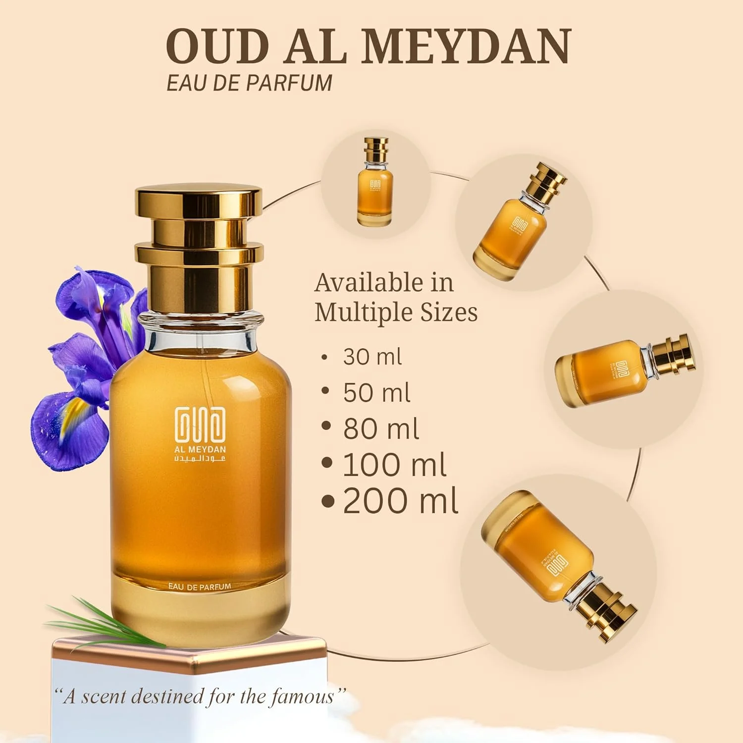 عطر روغنی مردانه – الهام گرفته از مایث من – عطر روغنی چرمی دودی ماندگار با رایحه گل داوودی، رام و وتیور – ماندگاری 8-10 ساعته – رایحه مردانه جسورانه (50 میلی لیتر)
