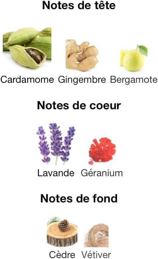 ادکلن مردانه جک - ادو پرفیوم - از فراگرنس ورد - 100 میلی لیتر
