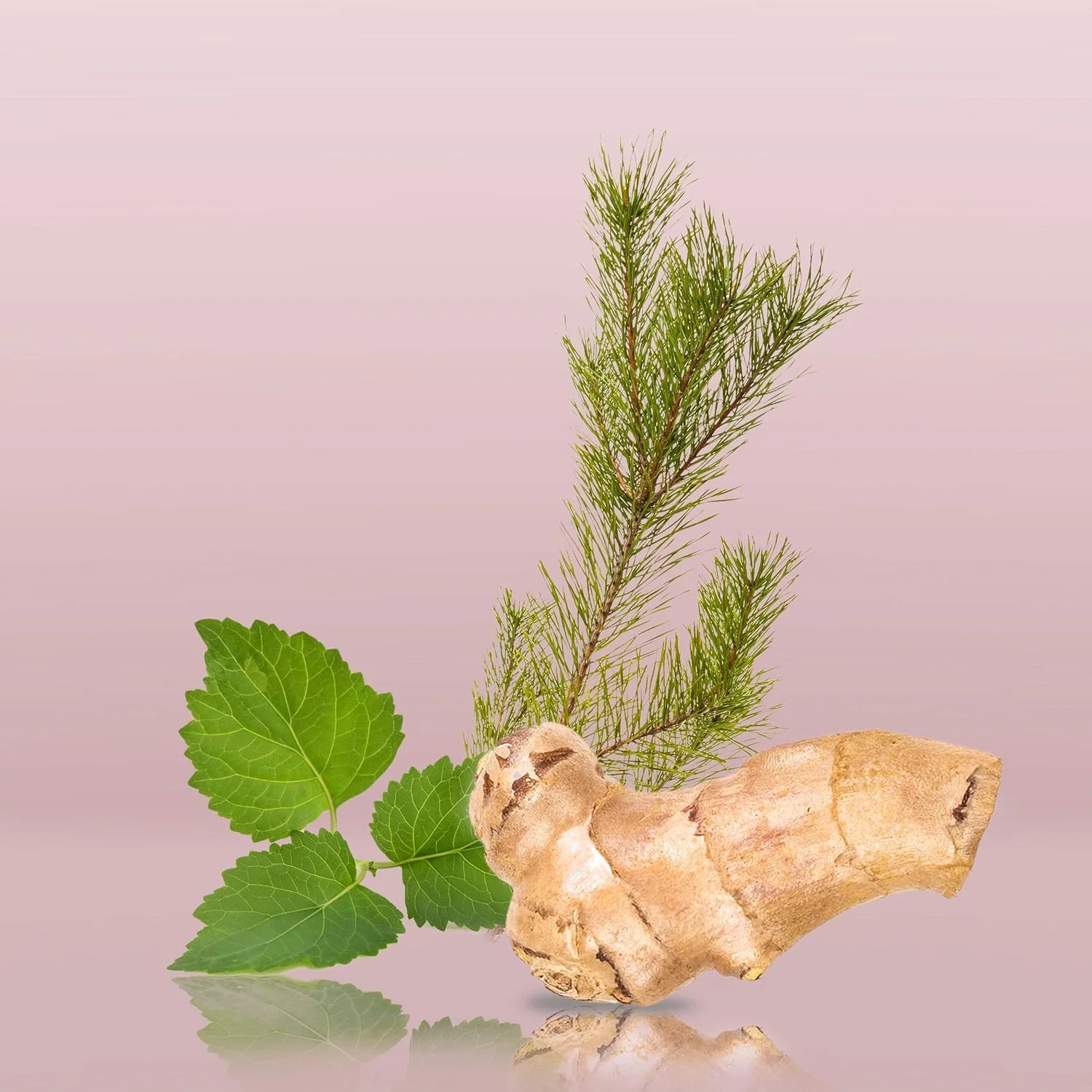 ادکلن مردانه ایفوریا از کالوین کلین ادو تویلت 100 میلی لیتر ادکلن مردانه ایفوریا از کالوین کلین ادو تویلت 100 میلی لیتر