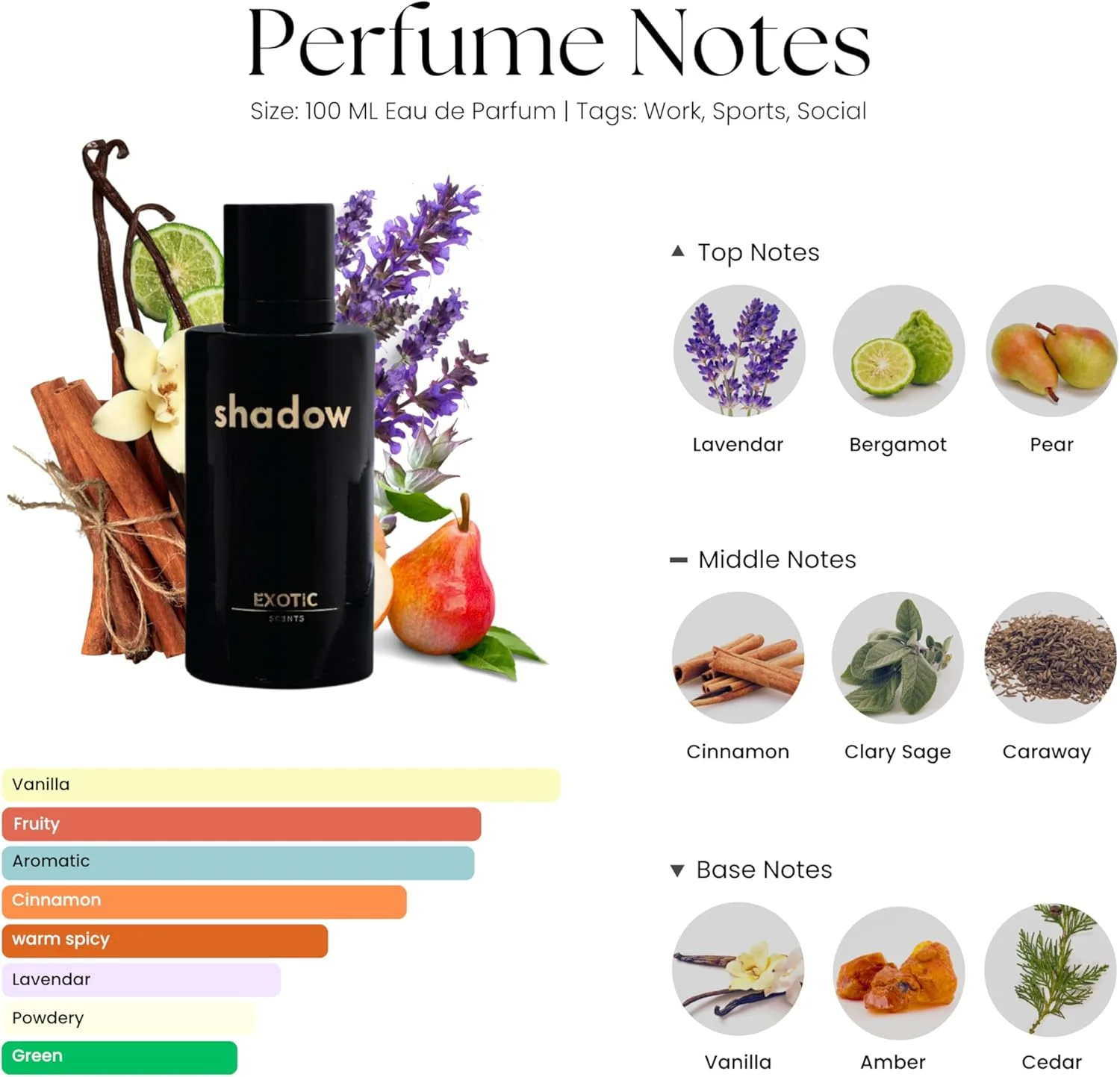 ادو پرفیوم مردانه شادو - 100 میلی لیتر | عطر مردانه ماندگار