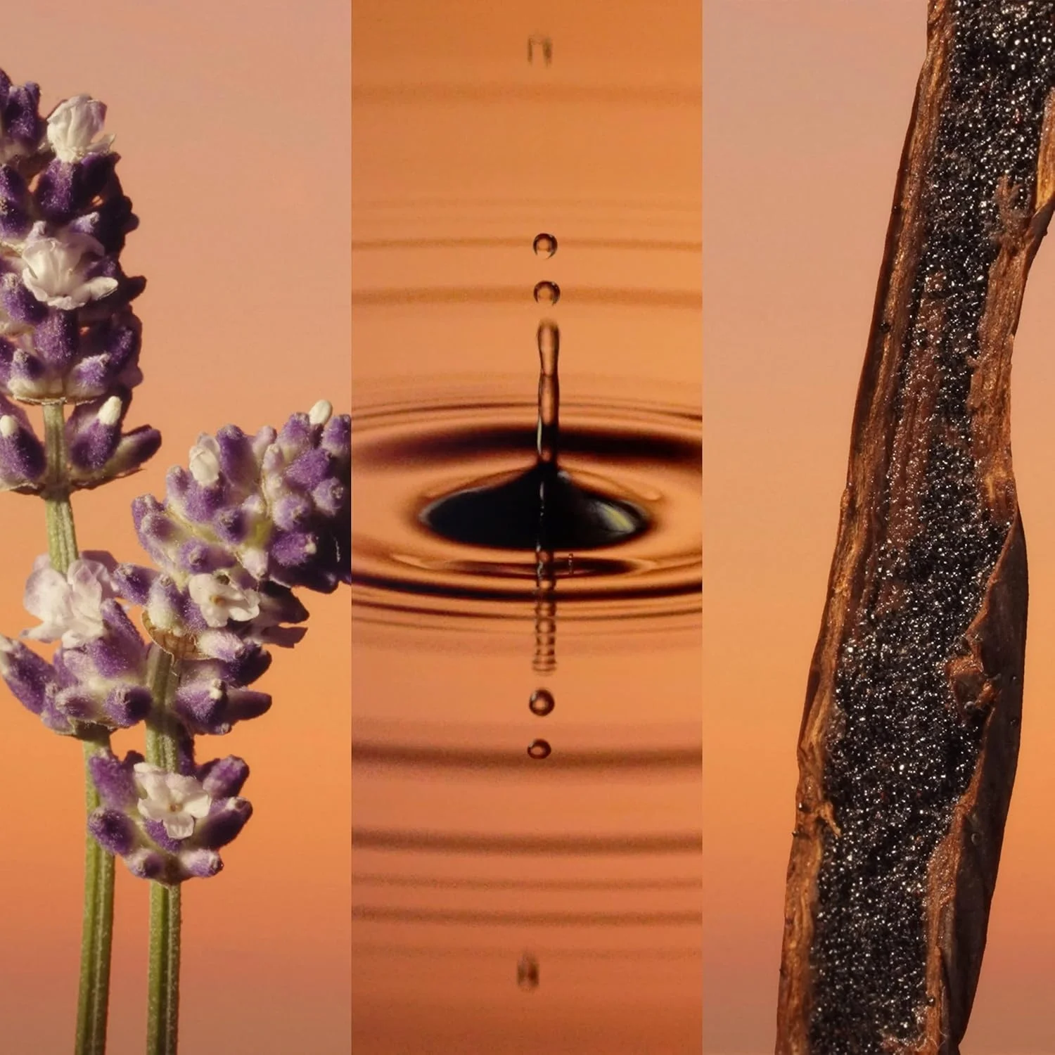 ادکلن مردانه کالوین کلین اترنیتی پرفیوم ادو پرفیوم 100 میلی لیتر