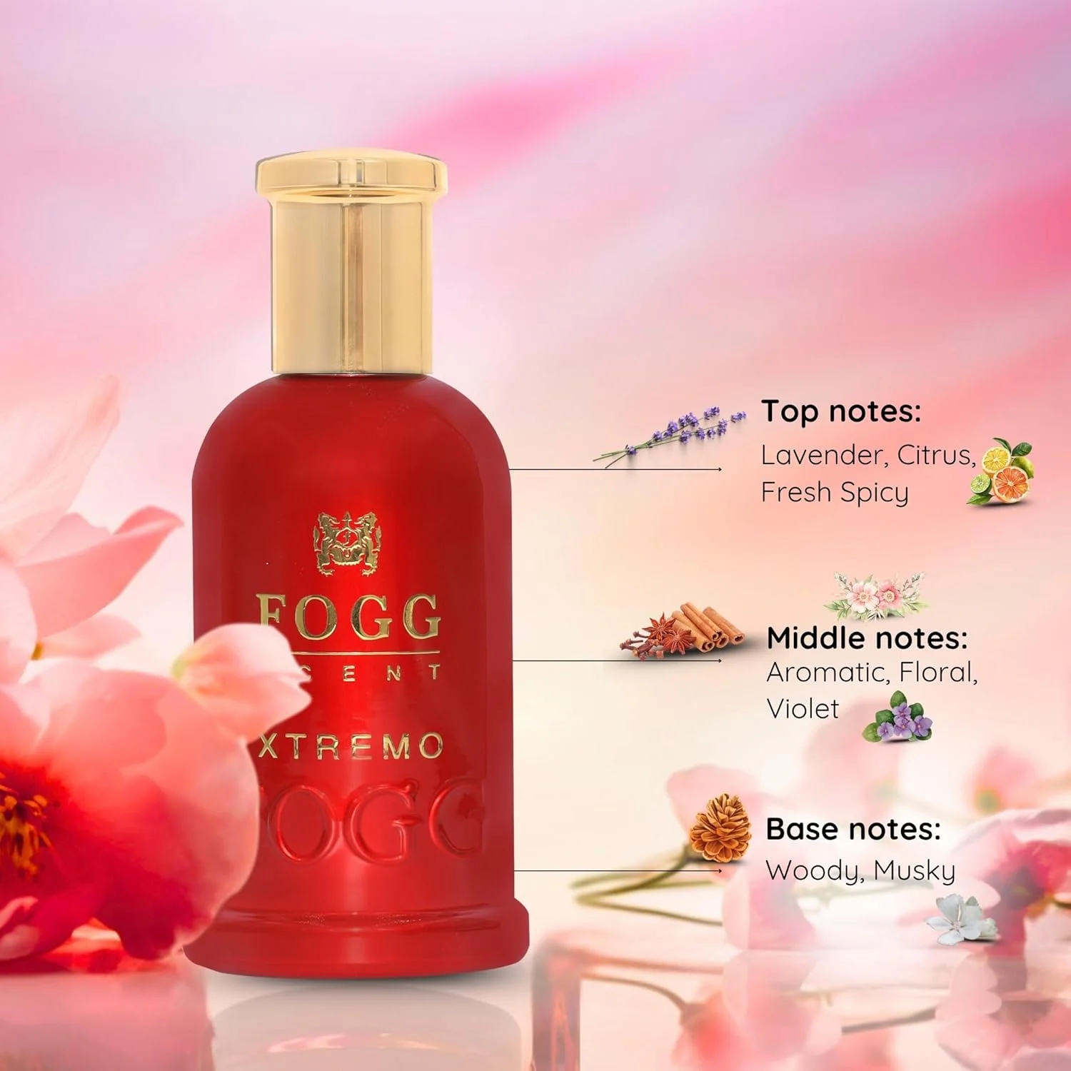 ادکلن مردانه فاگ مدل Xtremo، حجم 100 میلی لیتر ادکلن مردانه فاگ مدل Xtremo، حجم 100 میلی لیتر