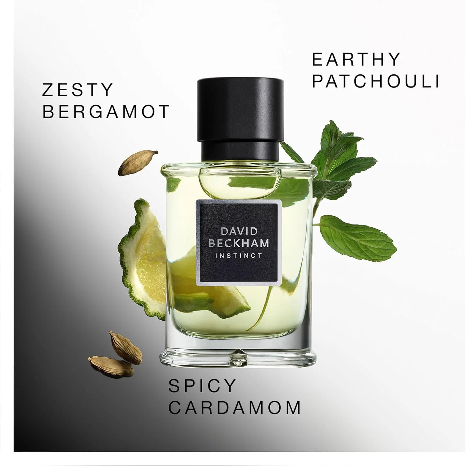 ادو پرفیوم مردانه دیوید بکهام اینستینکت، عطر مرکباتی فوژه، عطری جذاب و پویا از دیوید بکهام، بطری عطر شیک 75 میلی لیتر (2.5 اونس) ادو پرفیوم مردانه دیوید بکهام اینستینکت، عطر مرکباتی فوژه، عطری جذاب و پویا از دیوید بکهام، بطری عطر شیک 75 میلی لیتر (2.5 اونس)