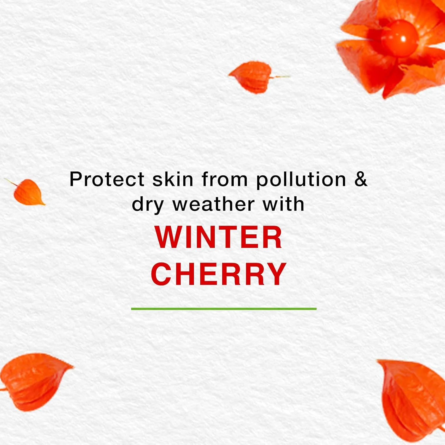 کرم مغذی پوست هیمالیا، 150 میلی لیتر + 150 میلی لیتر رایگان کرم مغذی پوست هیمالیا، 150 میلی لیتر + 150 میلی لیتر رایگان