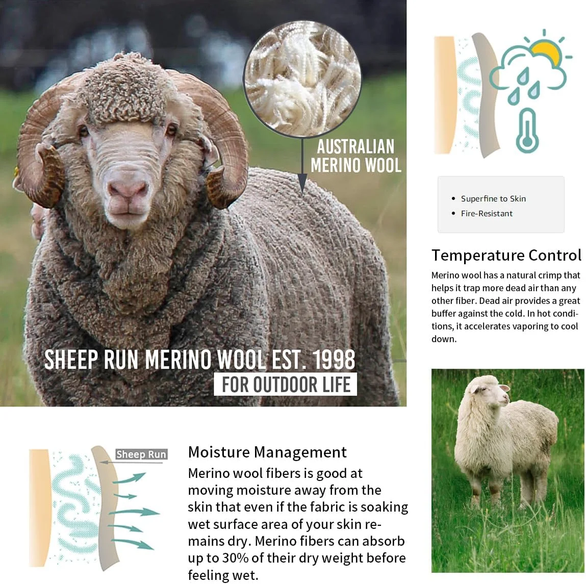 لباس زیر حرارتی مردانه پشم مرینوس Sheep Run، آستین بلند