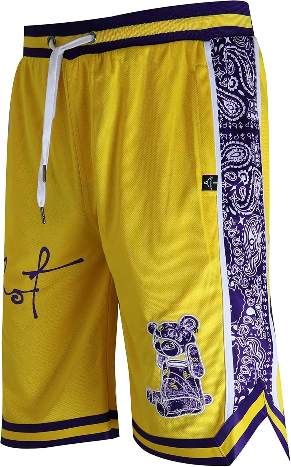 شلوارک توری بسکتبال مردانه SCREENSHOT - رنگ تیمی ورزشی، قد 11 اینچ