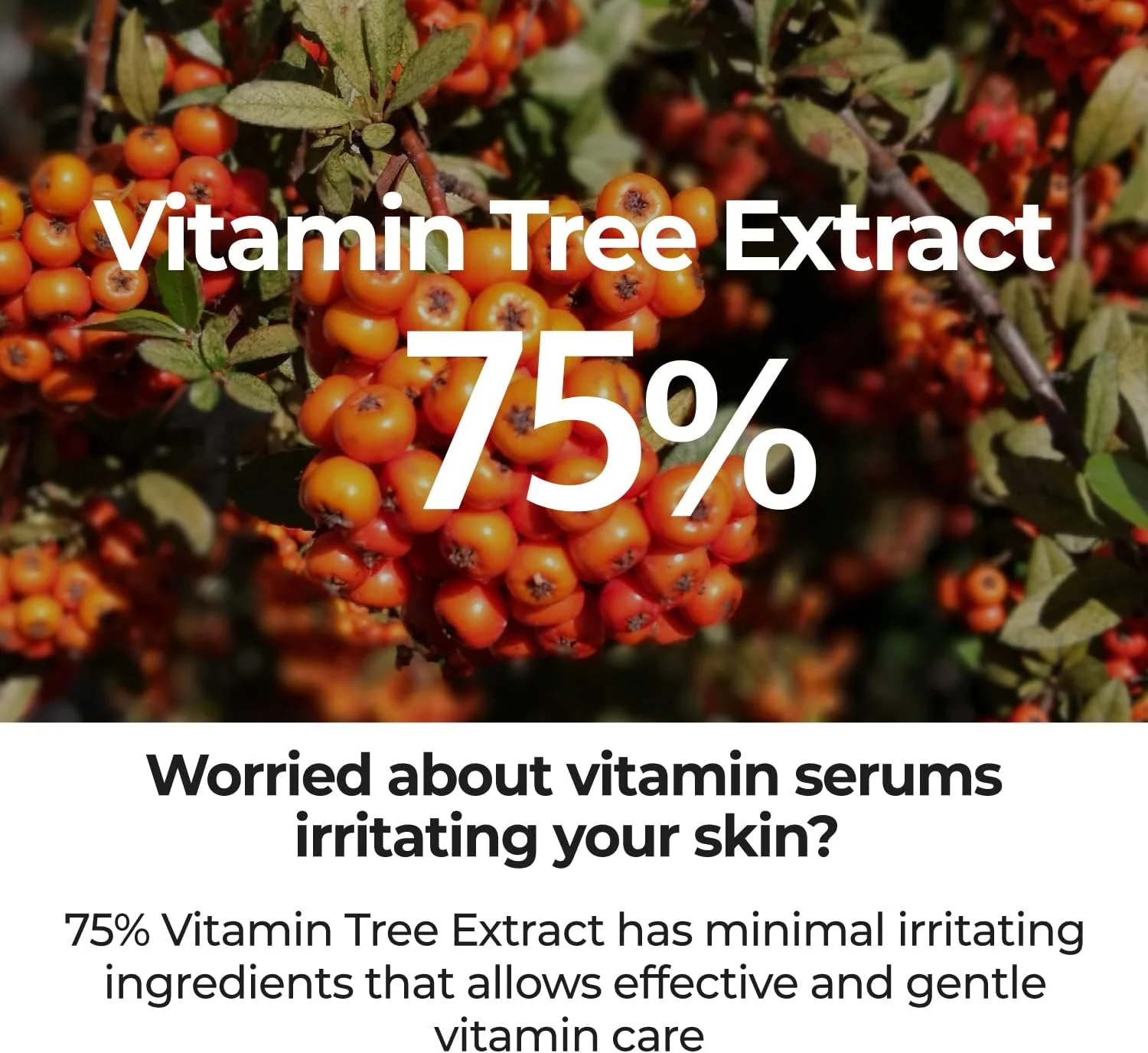 سرم شماره 5 نامبرزین | سرم خداحافظی با لک | راه حل برای لک ها، نقاط تیره و جای جوش با ویتامین C، نیاسینامید، آنتی اکسیدان | ژل سبک، مراقبت از پوست کره ای برای صورت | 50 میلی لیتر