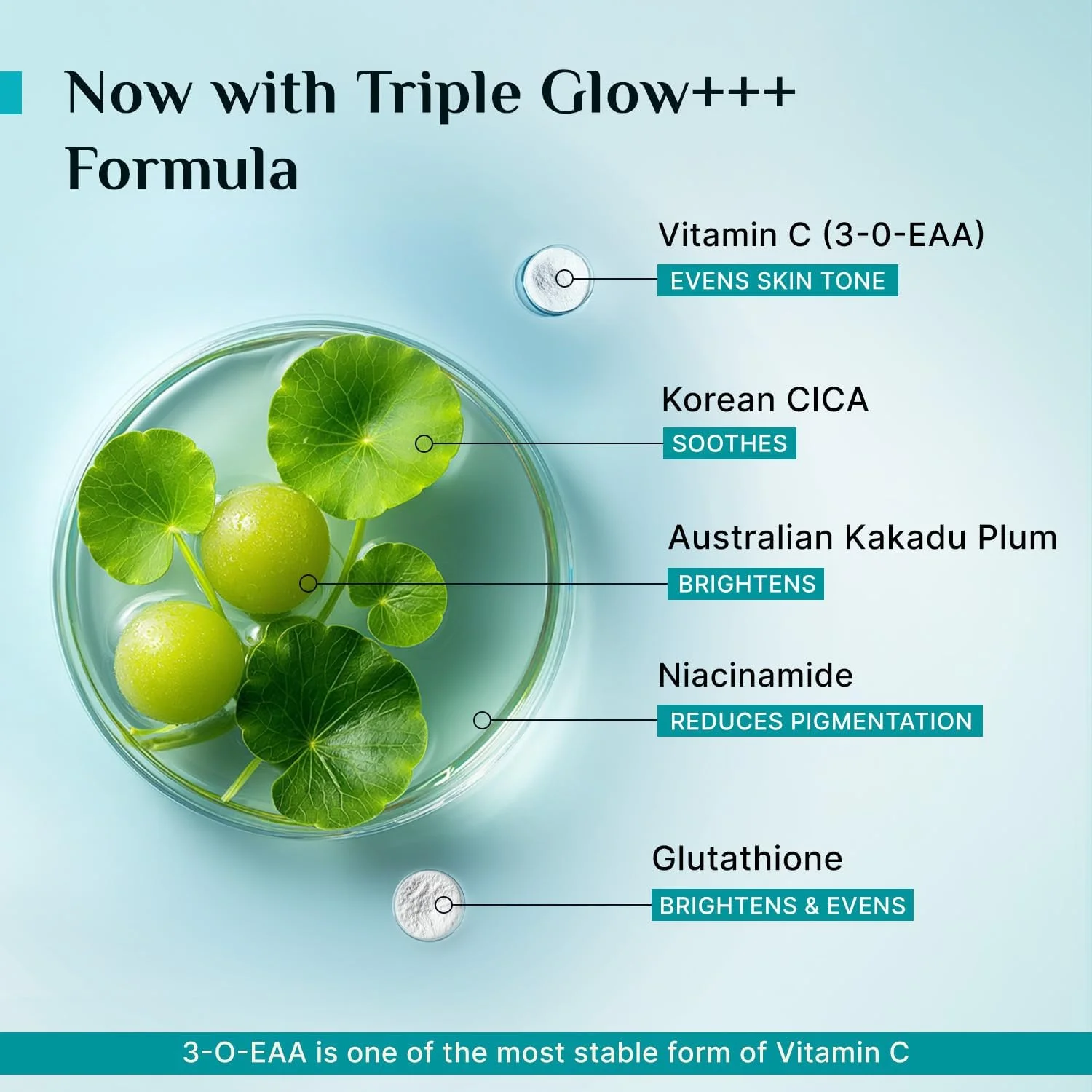 سرم صورت ویتامین C 10% پیلگریم برای درخشندگی روزانه 30 میلی لیتر | سرم صورت برای پوست درخشان | کاهش لکه های تیره و یکنواخت کننده رنگ پوست | بدون عطر | برای آقایان و بانوان | انواع پوست |