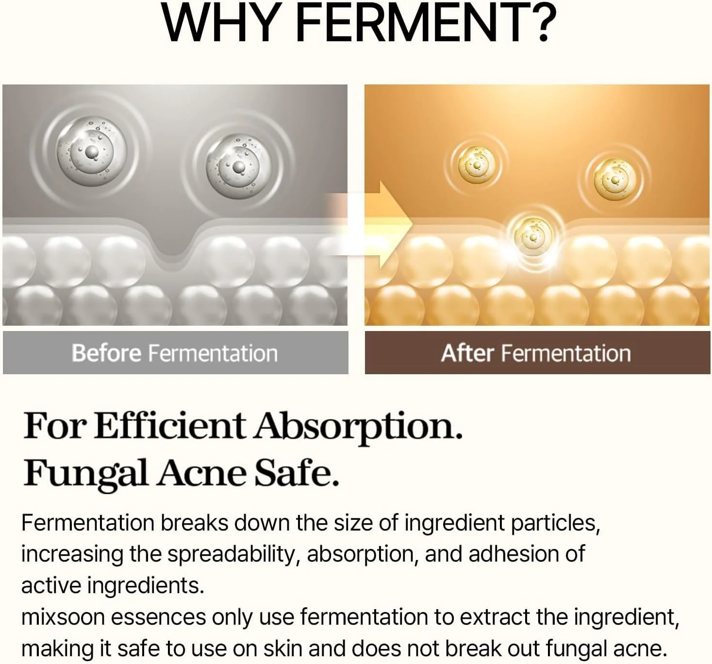 سرم صورت لایه بردار اسانس لوبیا کره ای – مرطوب کننده اسید هیالورونیک ویتامین C – مراقبت از پوست کره ای، سرم صورت برای داشتن پوستی درخشان، مناسب خانم ها و آقایان – 30 میلی لیتر
