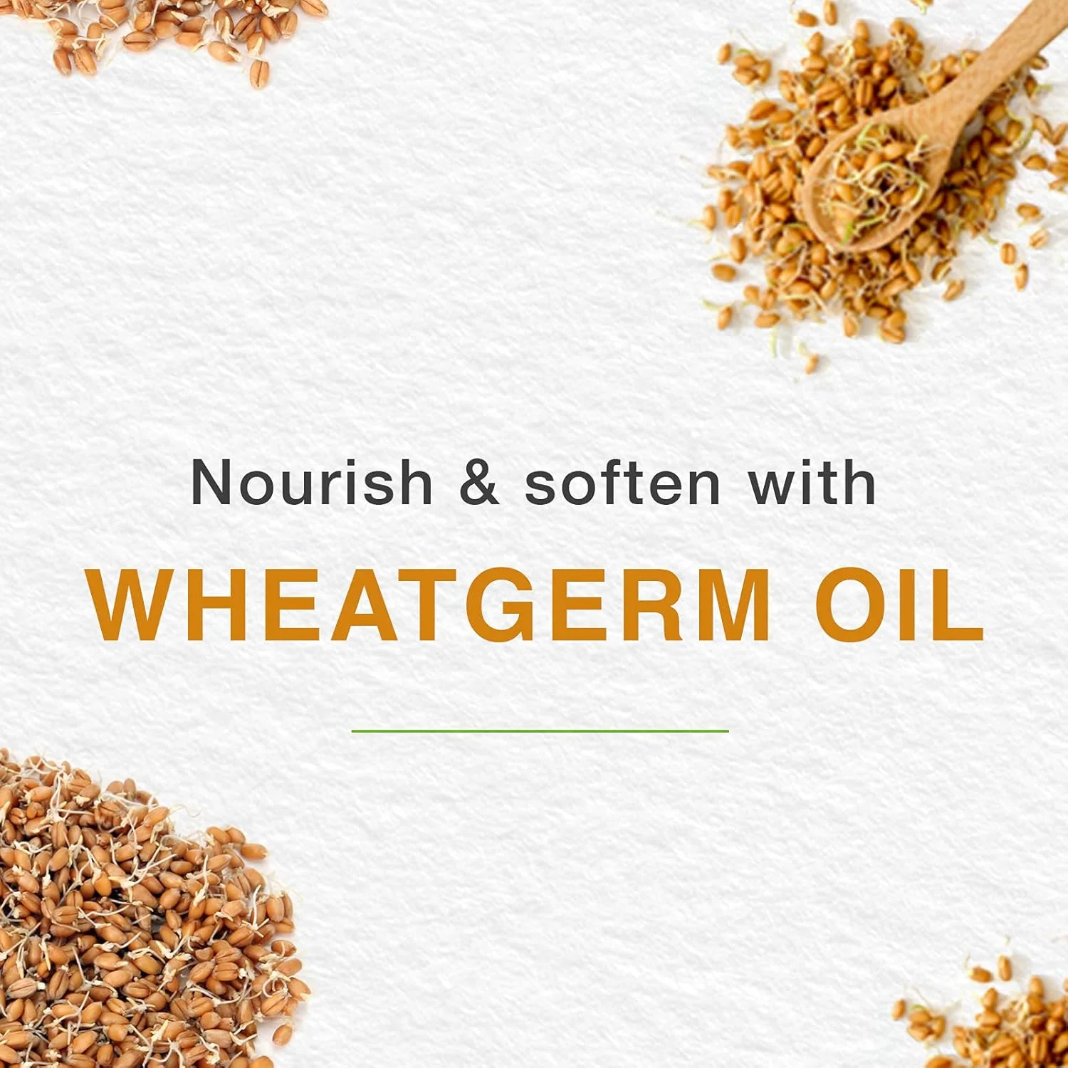 اسکراب لایه بردار ملایم زردآلو هیمالیا - 150 میلی لیتر | پوستی صاف و درخشان اسکراب لایه بردار ملایم زردآلو هیمالیا - 150 میلی لیتر | پوستی صاف و درخشان