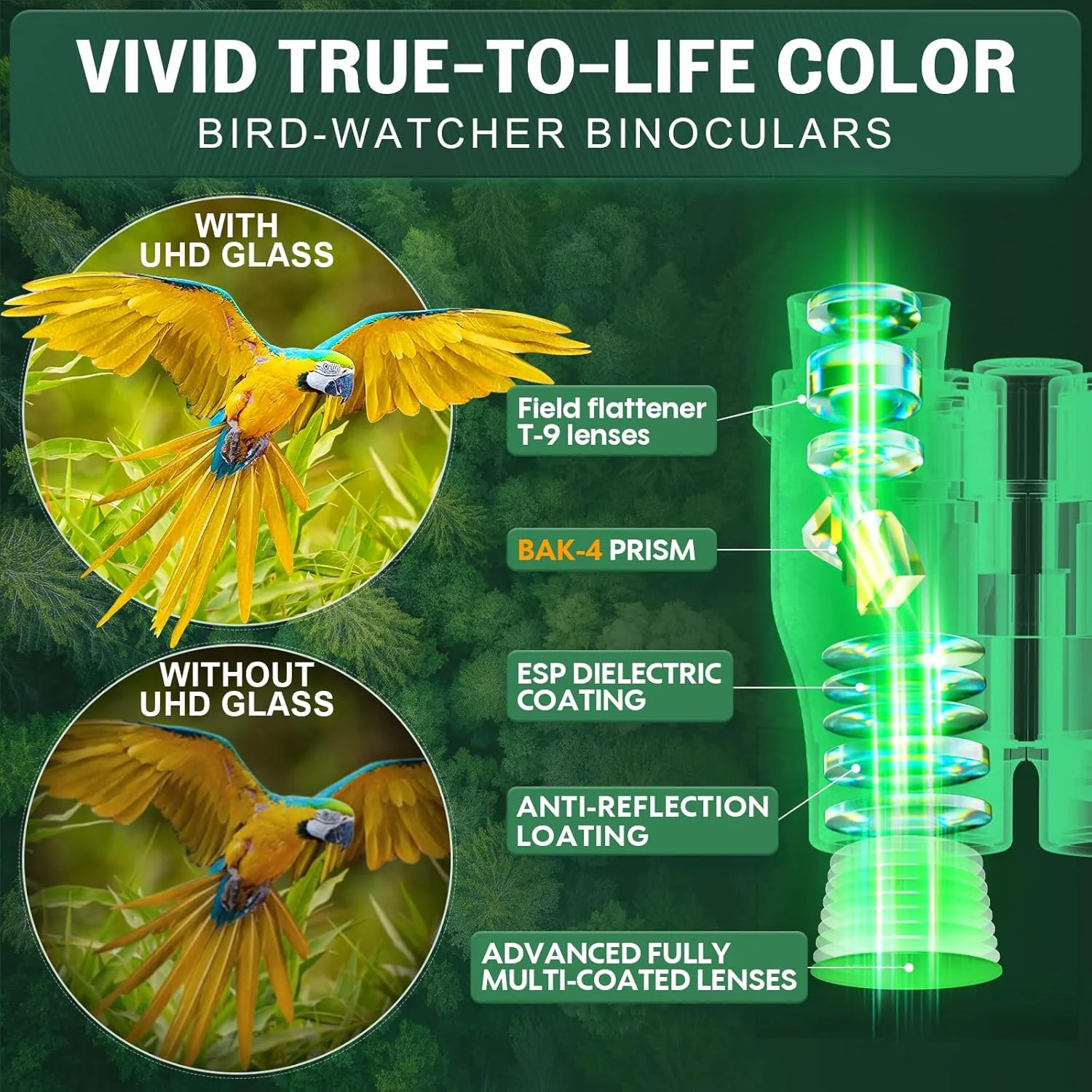 دوربین شکاری کوچک 16x32 Aurosports برای بزرگسالان و کودکان - دوربین شکاری کوچک با قدرت بالا با دید در نور کم - فوکوس آسان و سبک وزن برای تماشای پرندگان، شکار، مسافرت و پیاده روی دوربین شکاری کوچک 16x32 Aurosports برای بزرگسالان و کودکان - دوربین شکاری کوچک با قدرت بالا با دید در نور کم - فوکوس آسان و سبک وزن برای تماشای پرندگان، شکار، مسافرت و پیاده روی