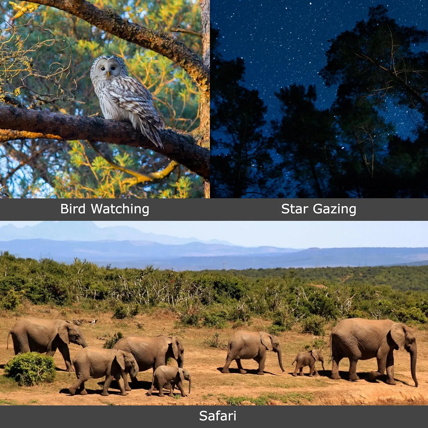 آداپتور سه پایه دوربین دوچشمی پراکتیکا مدل L شکل، پایه سه پایه جهانی، براکت فلزی 1/4 اینچی برای دوربین های دوچشمی سقفی و منشوری، تماشای پرندگان، مشاهده حیات وحش در مخفیگاه ها آداپتور سه پایه دوربین دوچشمی پراکتیکا مدل L شکل، پایه سه پایه جهانی، براکت فلزی 1/4 اینچی برای دوربین های دوچشمی سقفی و منشوری، تماشای پرندگان، مشاهده حیات وحش در مخفیگاه ها