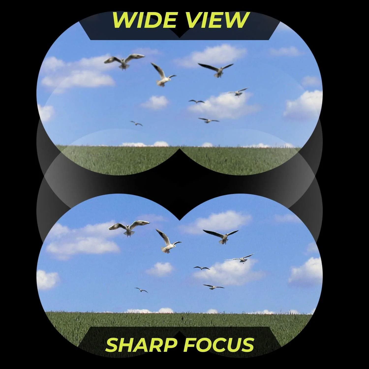 دوربین شکاری حرفه ای Wingspan Optics WideViews HD 8X42 برای تماشای پرندگان. میدان دید فوق العاده عریض برای روشن ترین و واضح ترین جزئیات. فوکوس نزدیک برای نماهای نزدیکتر. کیفیت HD با قیمت مناسب دوربین شکاری حرفه ای Wingspan Optics WideViews HD 8X42 برای تماشای پرندگان. میدان دید فوق العاده عریض برای روشن ترین و واضح ترین جزئیات. فوکوس نزدیک برای نماهای نزدیکتر. کیفیت HD با قیمت مناسب