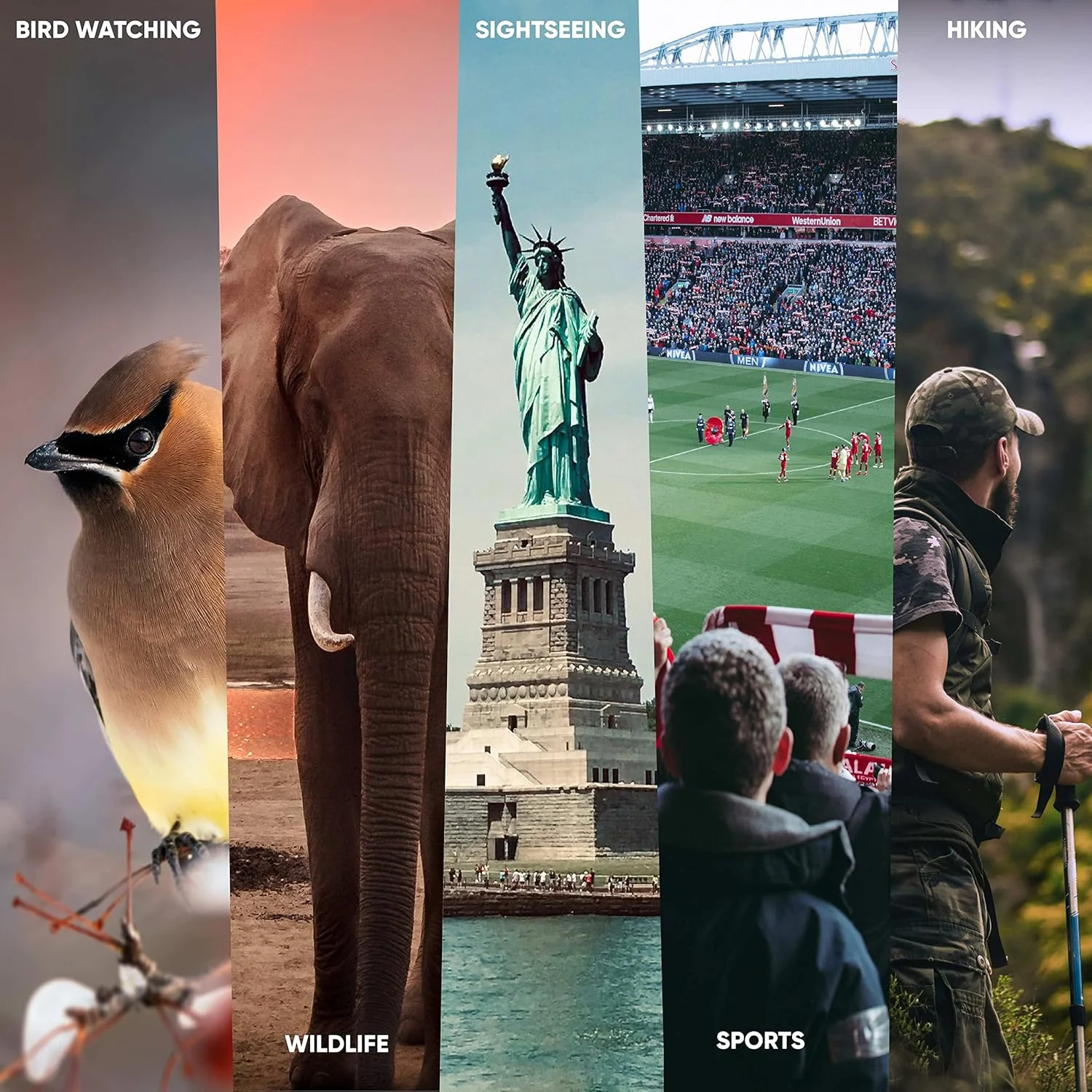 دوربین دوچشمی پراکتیکا Falcon 8x40mm با منشور Porro، روکش لاستیکی، مشکی، CDFN840BK