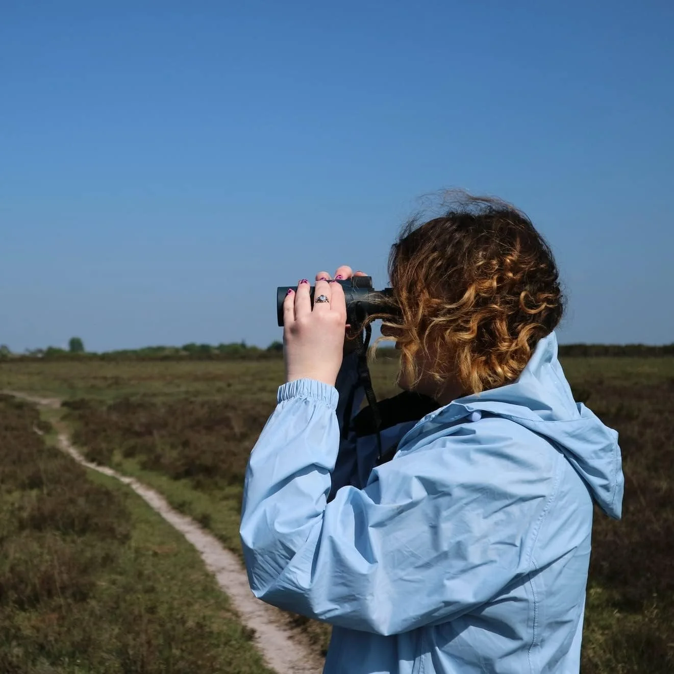 دوربین شکاری ضدآب پراکتیکا پایونیر R با بزرگنمایی 8x42 میلی‌متر، آبی - منشور سقفی، لنزهای شیشه‌ای چندلایه با پوشش کامل برای تماشای پرندگان، حیات وحش، پیاده‌روی و موارد دیگر