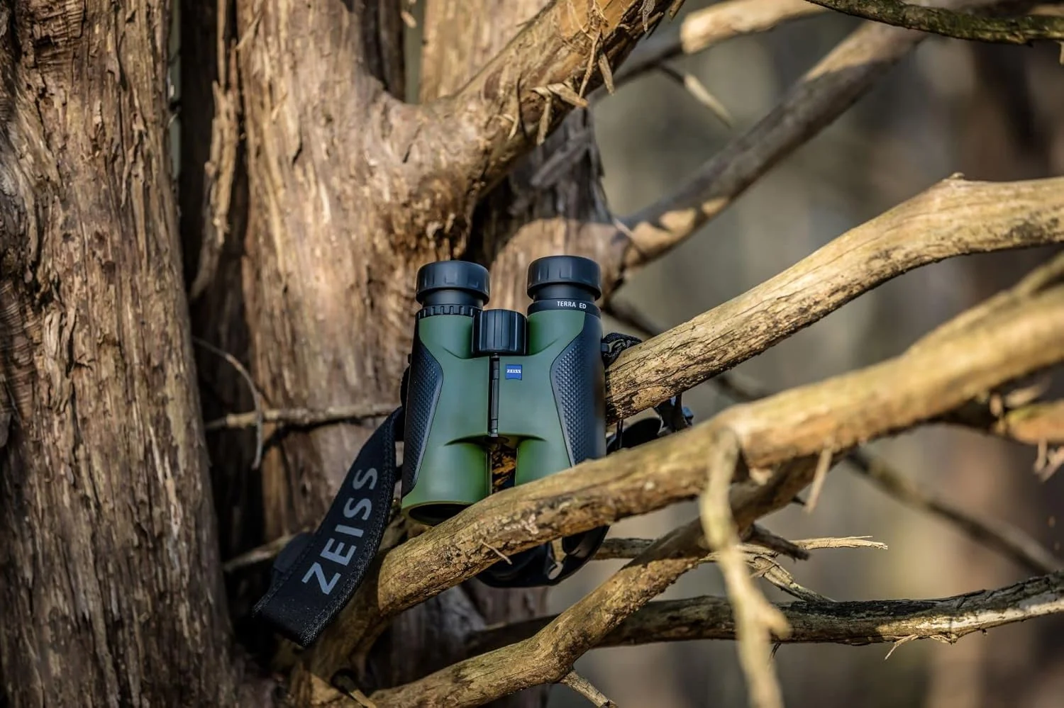 دوربین دوچشمی زایس Terra ED 8x42 ضدآب، با فوکوس سریع و شیشه پوشش‌داده‌شده برای وضوح مطلوب در همه شرایط آب و هوایی برای تماشای پرندگان، شکار، گشت و گذار، سبز