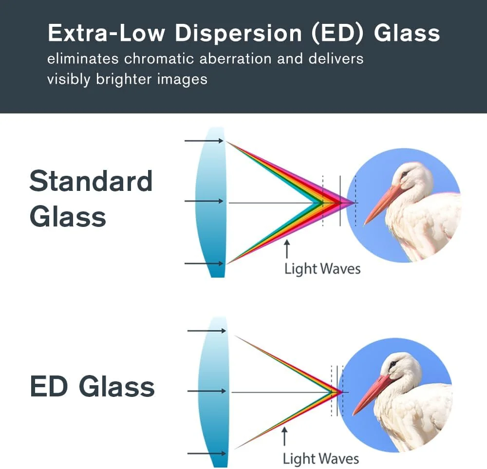 دوربین دوچشمی سلسترون – Regal ED 8x42 – اپتیک ممتاز برای تماشای پرندگان، شکار و استفاده در فضای باز – منشورهای BaK-4 با پوشش فاز و دی الکتریک – شیشه با پوشش چند لایه کامل – فوکوس نزدیک 1.5 متری دوربین دوچشمی سلسترون – Regal ED 8x42 – اپتیک ممتاز برای تماشای پرندگان، شکار و استفاده در فضای باز – منشورهای BaK-4 با پوشش فاز و دی الکتریک – شیشه با پوشش چند لایه کامل – فوکوس نزدیک 1.5 متری