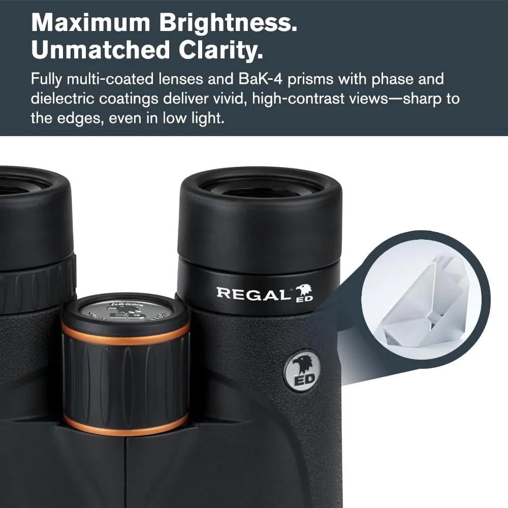 دوربین دوچشمی سلسترون – Regal ED 10x42 – اپتیک ED ممتاز برای شکار، تماشای پرندگان و استفاده در فضای باز – منشورهای BaK-4 با پوشش فاز و دی الکتریک – شیشه کاملاً چند لایه – فوکوس نزدیک 6.5 فوت