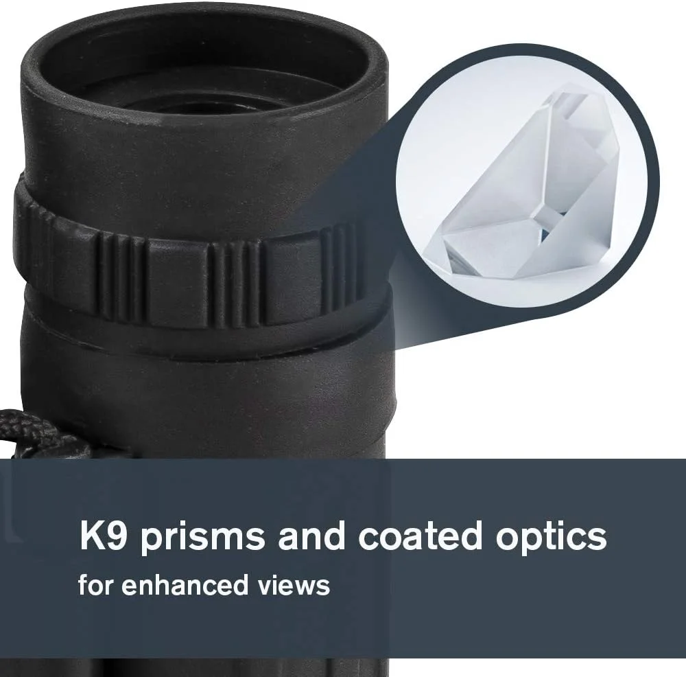 دوربین دوچشمی سقف منشور 10x25 سلسترون LandScout