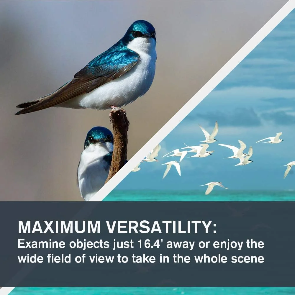 دوربین دوچشمی سقف منشور 10x25 سلسترون LandScout