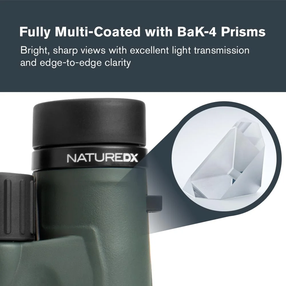 دوربین دوچشمی سلسترون Nature DX 8x32 - ایده آل برای تماشای پرندگان و فضای باز - لنزهای شیئی 32 میلی متری - میدان دید گسترده 7.4 درجه - منشورهای BaK-4 - پوشش چند لایه کامل - ضد آب و ضد مه