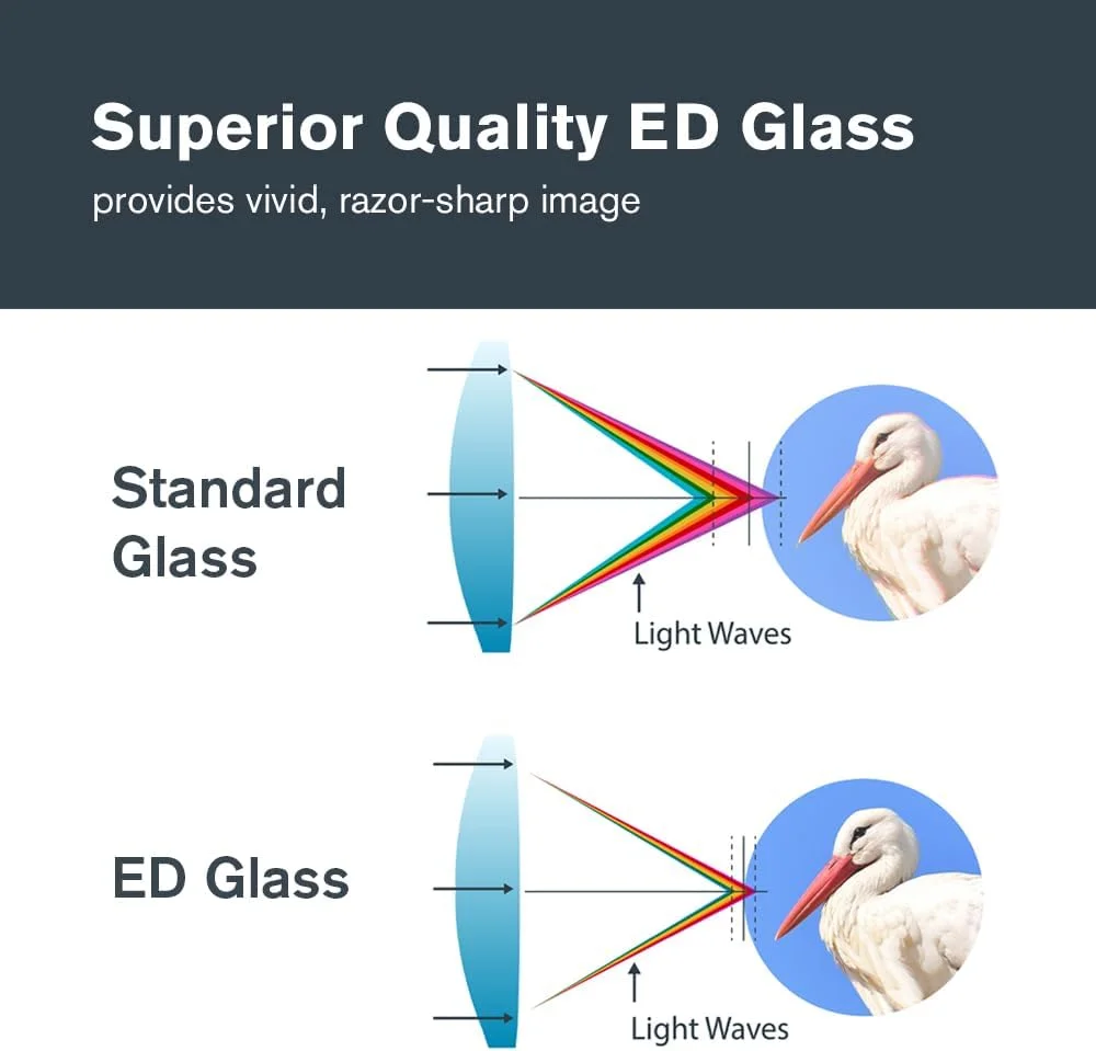 دوربین دوچشمی سلسترون Nature DX ED 12x50 ممتاز – لنزهای شیئی با پراکندگی بسیار کم – دوربین دوچشمی مناسب فضای باز و تماشای پرندگان – پوشش چندلایه کامل با منشورهای BaK-4 – روکش لاستیکی – ضد آب و ضد مه دوربین دوچشمی سلسترون Nature DX ED 12x50 ممتاز – لنزهای شیئی با پراکندگی بسیار کم – دوربین دوچشمی مناسب فضای باز و تماشای پرندگان – پوشش چندلایه کامل با منشورهای BaK-4 – روکش لاستیکی – ضد آب و ضد مه