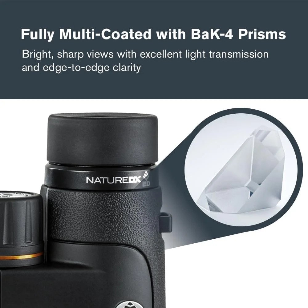 دوربین دوچشمی سلسترون Nature DX ED 12x50 ممتاز – لنزهای شیئی با پراکندگی بسیار کم – دوربین دوچشمی مناسب فضای باز و تماشای پرندگان – پوشش چندلایه کامل با منشورهای BaK-4 – روکش لاستیکی – ضد آب و ضد مه دوربین دوچشمی سلسترون Nature DX ED 12x50 ممتاز – لنزهای شیئی با پراکندگی بسیار کم – دوربین دوچشمی مناسب فضای باز و تماشای پرندگان – پوشش چندلایه کامل با منشورهای BaK-4 – روکش لاستیکی – ضد آب و ضد مه