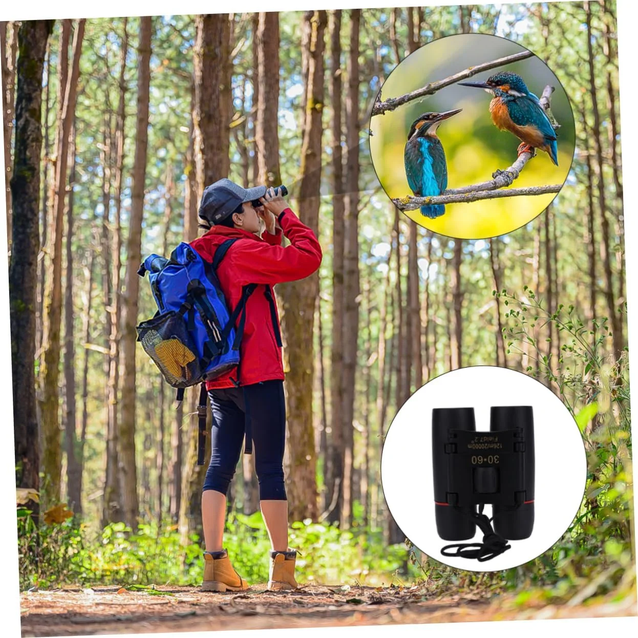 دوربین شکاری کوچک آنگولی برای تماشای پرندگان و مسافرت، طراحی سبک و آسان برای ماجراجویی در فضای باز