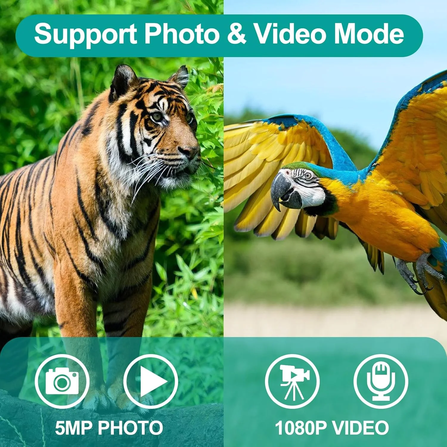 دوربین دوچشمی ZZSTAR 12x32 با دوربین، دوربین دوچشمی تاشو با قدرت بالا برای بزرگسالان، صفحه نمایش 2 اینچی LCD، ضبط کننده عکس و فیلم 1080P با کیفیت 5 مگاپیکسل، لنز منشوری FMC و BAK4، نمای بزرگ، برای تماشای پرندگان و ورزش، مشکی