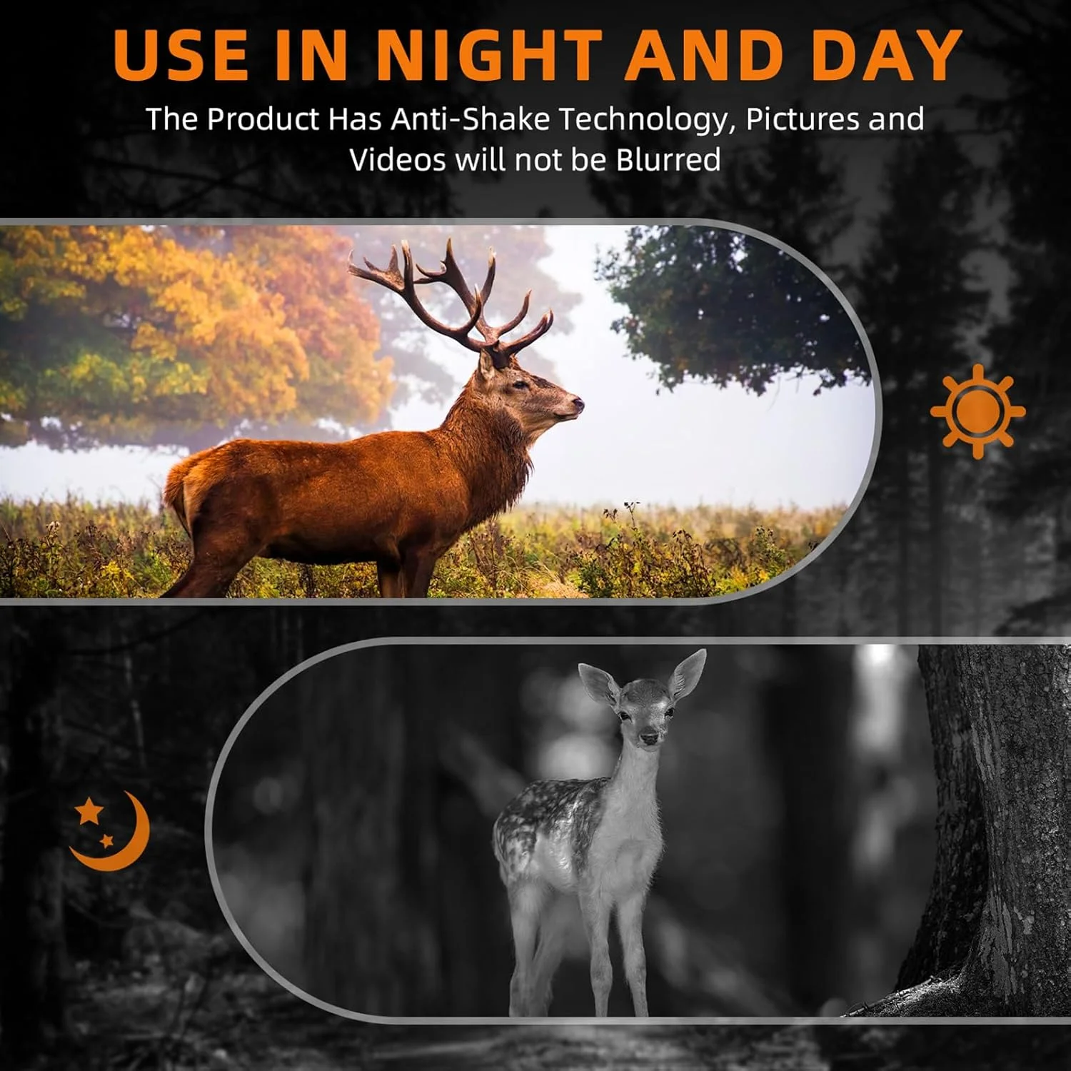 دوربین شکاری دید در شب، زوم اپتیکال 4 برابر، زوم دیجیتال 5 برابر، ویدیوی 1080P، کارت 32 گیگابایتی، محدوده دید 250-300 متری، IP66 برای مشاهده حیات وحش، کمپینگ