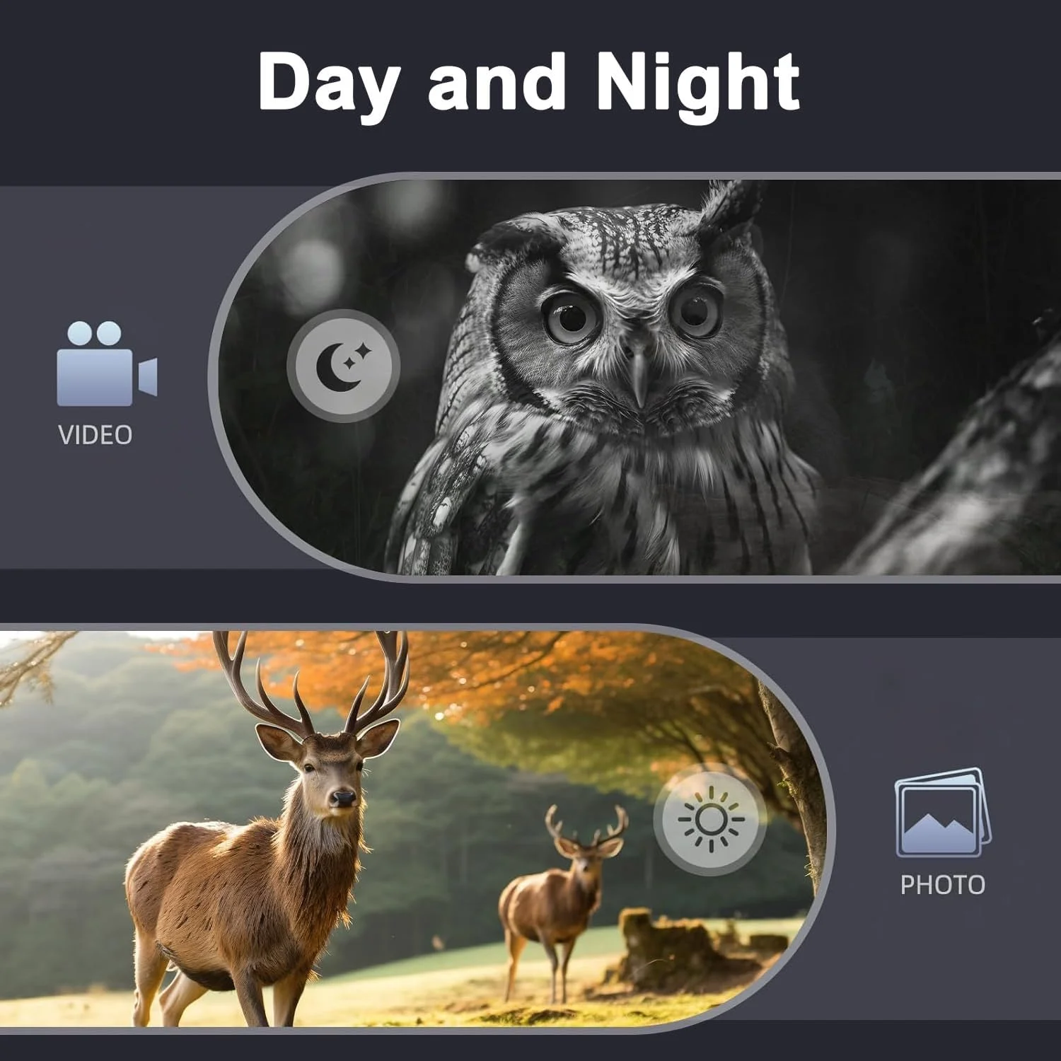 دوربین دید در شب، دوربین دوچشمی دید در شب برای بزرگسالان، دوربین دوچشمی صفحه نمایش HD با کارت TF 32 گیگابایتی برای عکس و فیلم، ایده آل برای کمپینگ در فضای باز و مشاهده حیات وحش دوربین دید در شب، دوربین دوچشمی دید در شب برای بزرگسالان، دوربین دوچشمی صفحه نمایش HD با کارت TF 32 گیگابایتی برای عکس و فیلم، ایده آل برای کمپینگ در فضای باز و مشاهده حیات وحش