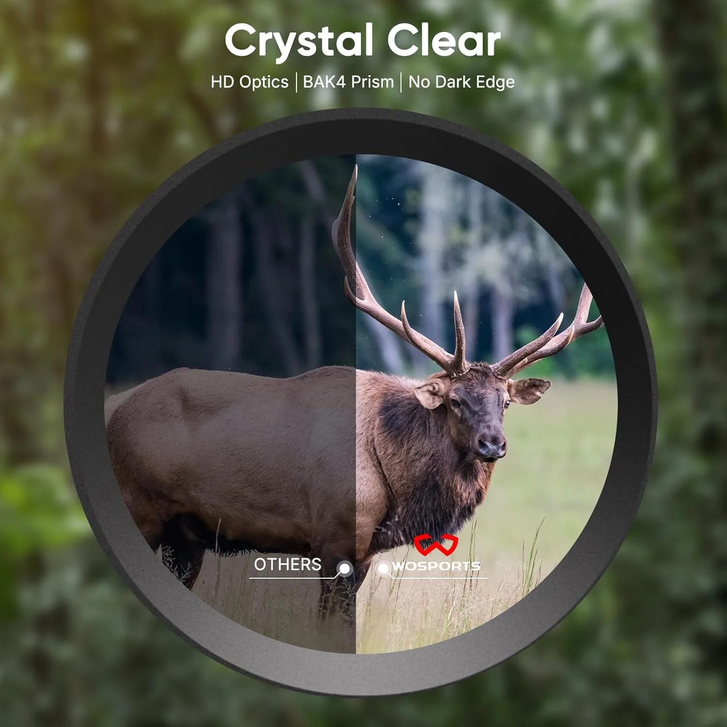 دوربین دوچشمی 10x42 WOSPORTS برای بزرگسالان - دوربین دوچشمی ضدآب IP67 برای تماشای پرندگان، پیادهروی و شکار دوربین دوچشمی 10x42 WOSPORTS برای بزرگسالان - دوربین دوچشمی ضدآب IP67 برای تماشای پرندگان، پیادهروی و شکار