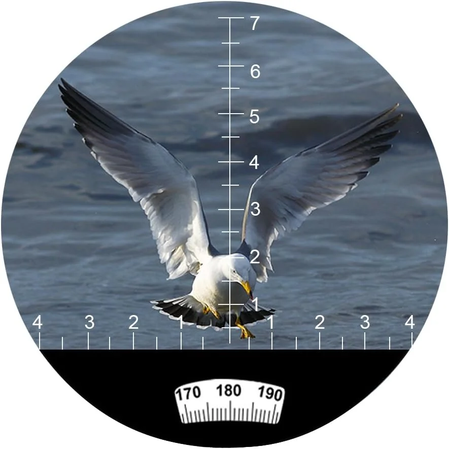 دوربین شکاری دریایی 7x50 HD ضد آب Hooway با مسافت یاب داخلی و قطب نما برای تماشا پرندگان، قایق سواری و موارد دیگر (سبز ارتشی)