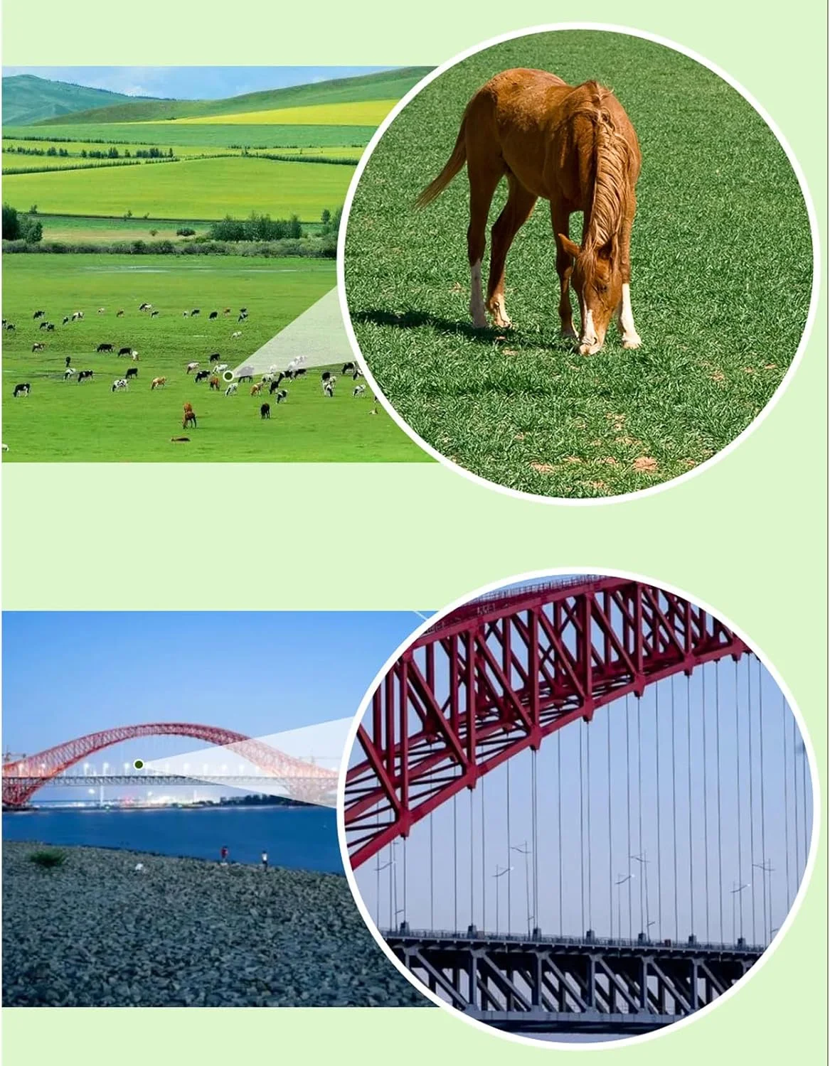 دوربین تک چشمی دیجیتال با کیفیت بالا Cryfokt با صفحه نمایش HD، بند شانه و کیف نگهداری مناسب برای مسافرت، کمپینگ و کنسرت دوربین تک چشمی دیجیتال با کیفیت بالا Cryfokt با صفحه نمایش HD، بند شانه و کیف نگهداری مناسب برای مسافرت، کمپینگ و کنسرت