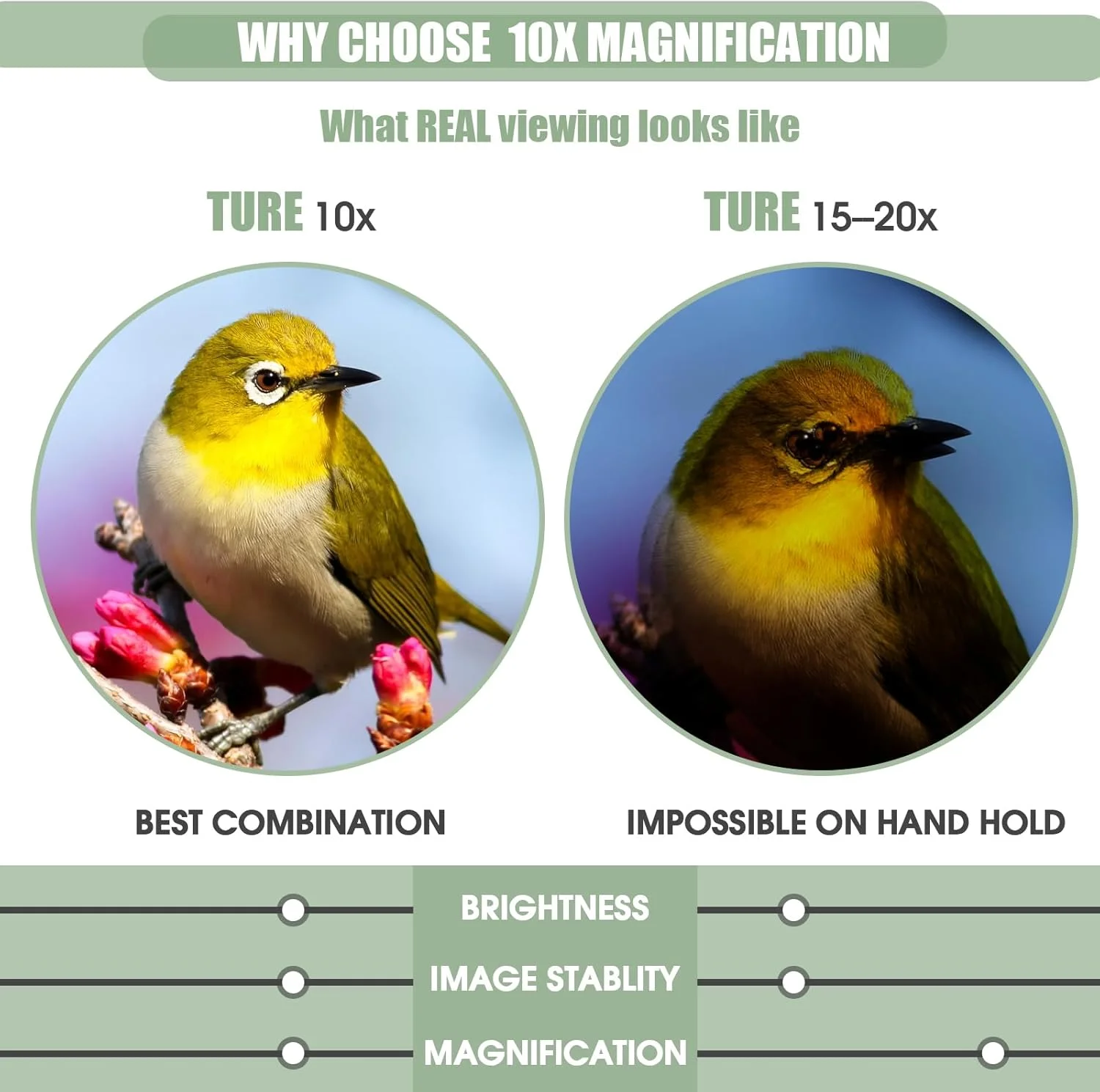 دوربین دوچشمی 10x25، دوربین دوچشمی جمع و جور برای بزرگسالان؛ قدرت بالا، فوکوس روان، مقاوم در برابر آب، اپتیک HD، انتخاب عالی برای تماشای پرندگان، کنسرت، ورزش و مسافرت؛ سبک وزن 246 گرم.