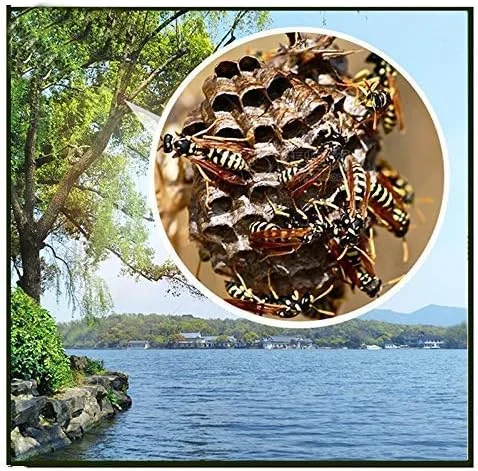 تلسکوپ 16X55 با کیفیت HD | منشور منشوری Bak 4 | مناسب برای تماشای پرندگان، کمپینگ، مسافرت و پیاده روی. دوربین دوچشمی سبک وزن، جمع و جور، ضد مه و ضد آب تلسکوپ 16X55 با کیفیت HD | منشور منشوری Bak 4 | مناسب برای تماشای پرندگان، کمپینگ، مسافرت و پیاده روی. دوربین دوچشمی سبک وزن، جمع و جور، ضد مه و ضد آب