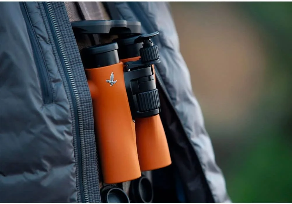 دوربین شکاری سواروسکی NL Pure 10x32 نارنجی سوخته به همراه کیف جانبی، بند، چشمی، درپوش لنز و کیت تمیز کننده مدل 36243 دوربین شکاری سواروسکی NL Pure 10x32 نارنجی سوخته به همراه کیف جانبی، بند، چشمی، درپوش لنز و کیت تمیز کننده مدل 36243