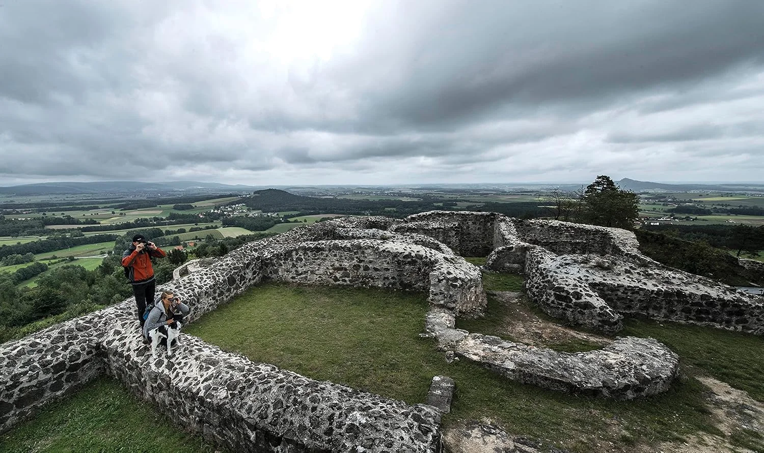 دوربین شکاری اشتاینر سافاری UltraSharp، جمع و جور، سبک وزن، عملکرد عالی، اپتیک مناسب فضای باز، 10x42