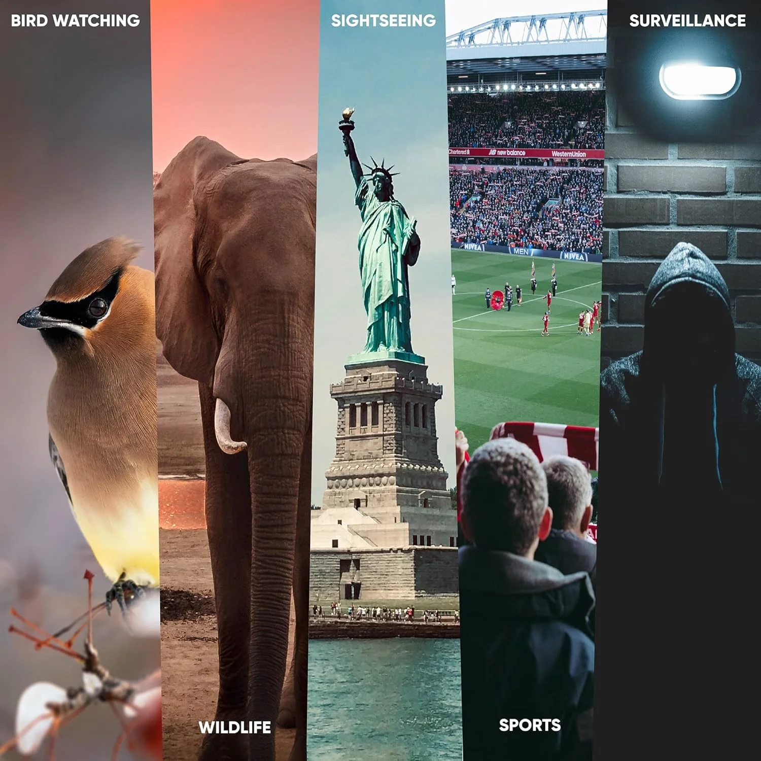 دوربین شکاری پراکتیکا فالکون 10x50 میلیمتری - مشکی دوربین شکاری پراکتیکا فالکون 10x50 میلیمتری - مشکی